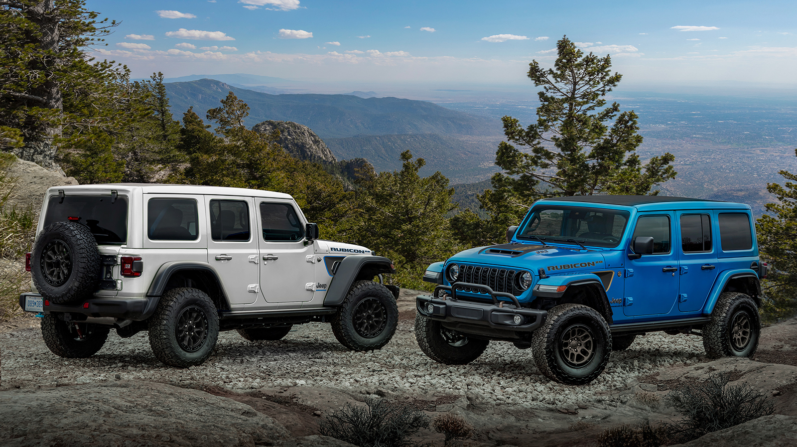 2024 Jeep Wrangler Rubicon 20th 4