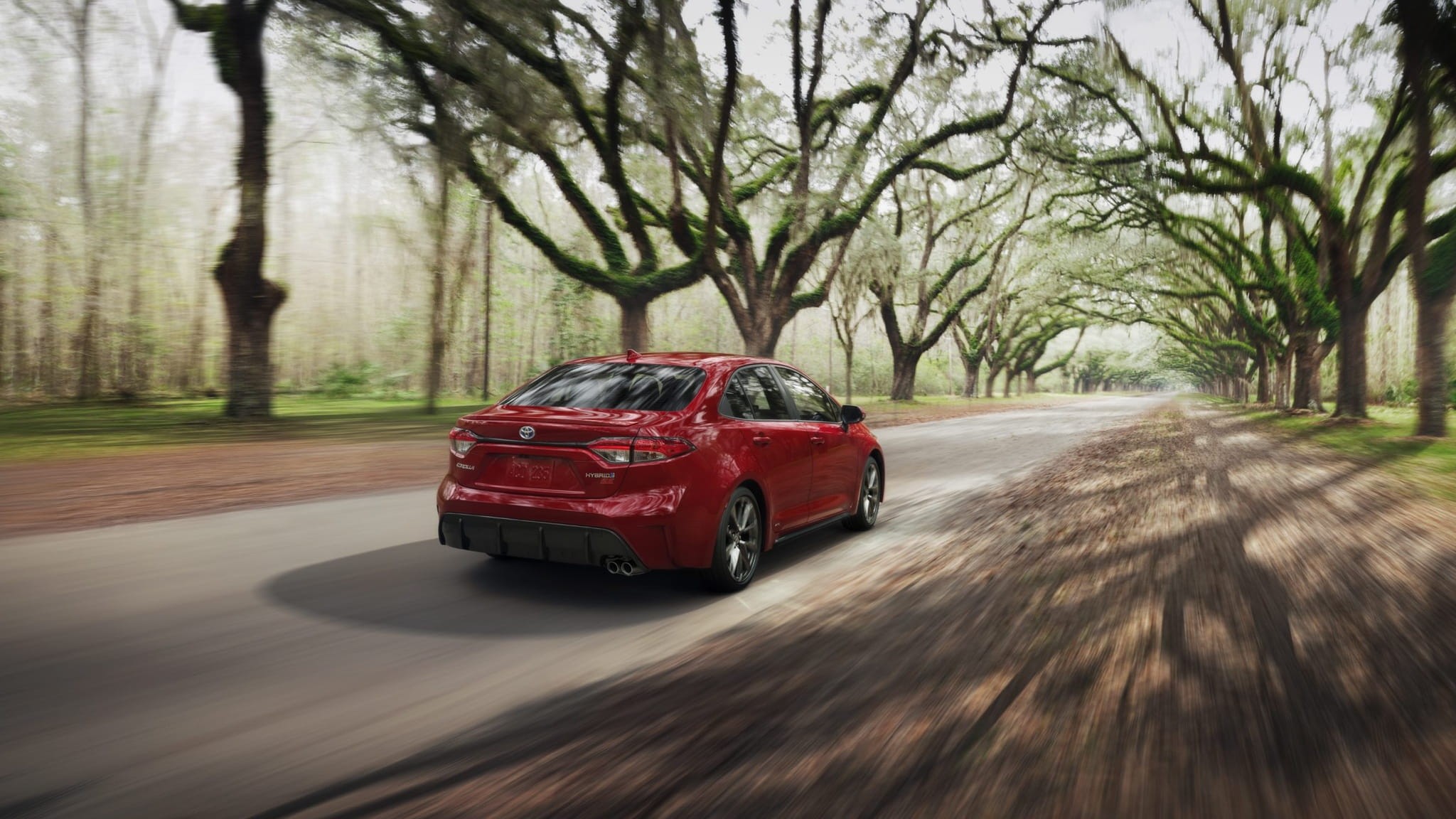 2023 Toyota Corolla 4