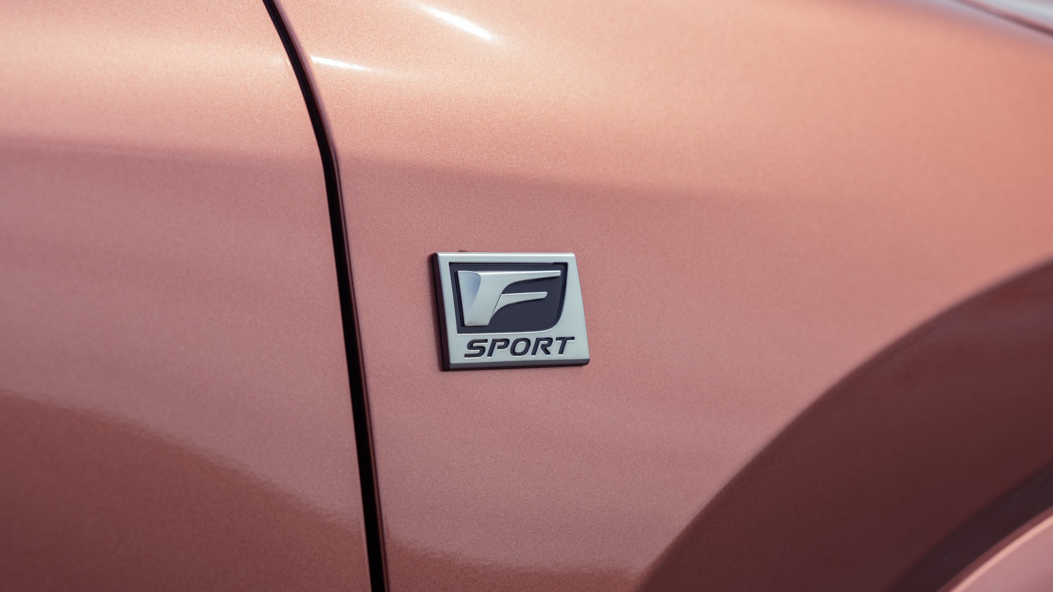 0010 2023 Lexus RX500h Fsport Performance trim badge