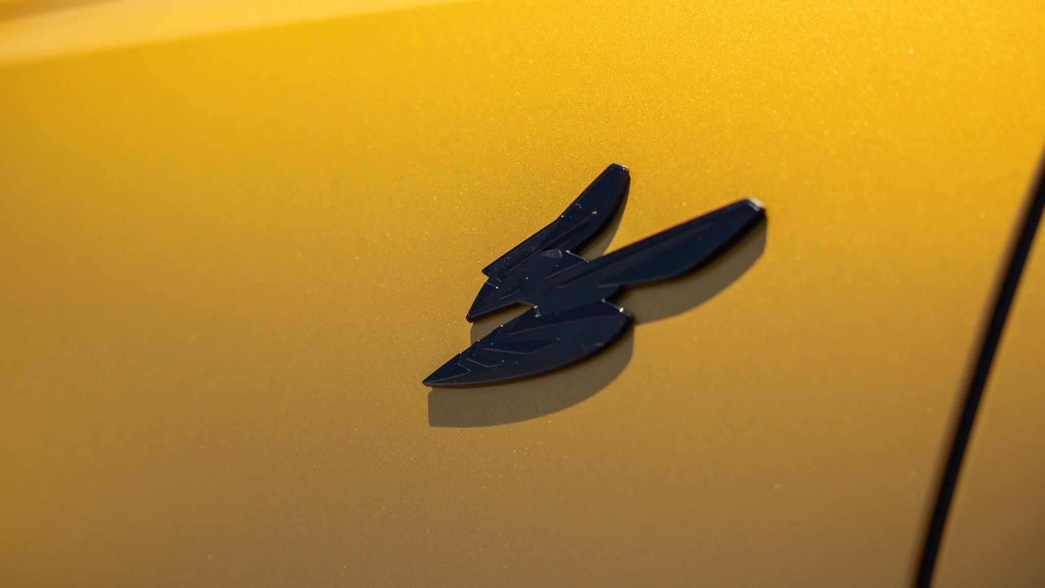 013 2024 Dodge Hornet R T model badge