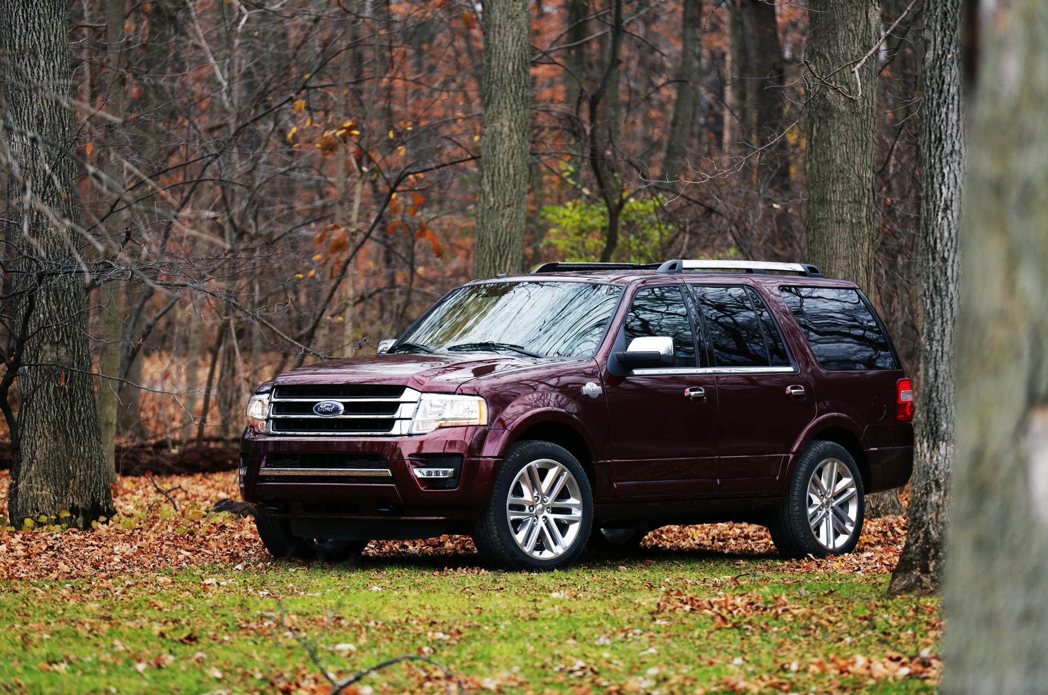 2015 Ford Expedition King Ranch 4 4 front three quarter 06