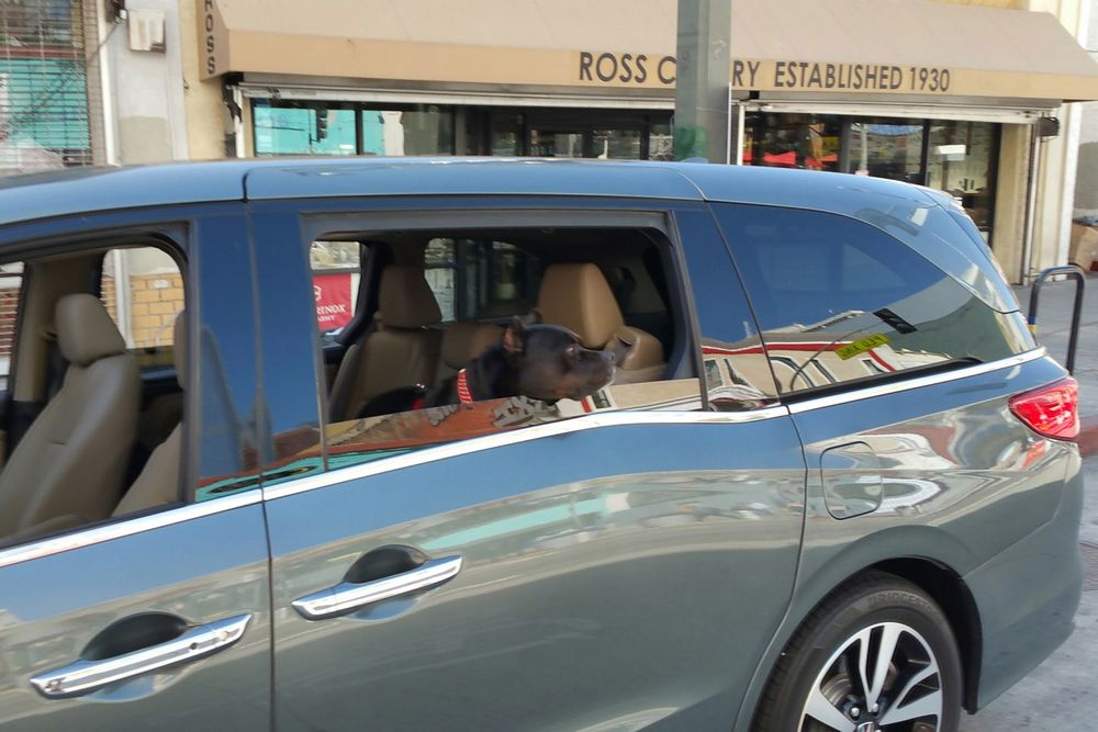 2018 Honda Odyssey Elite Window