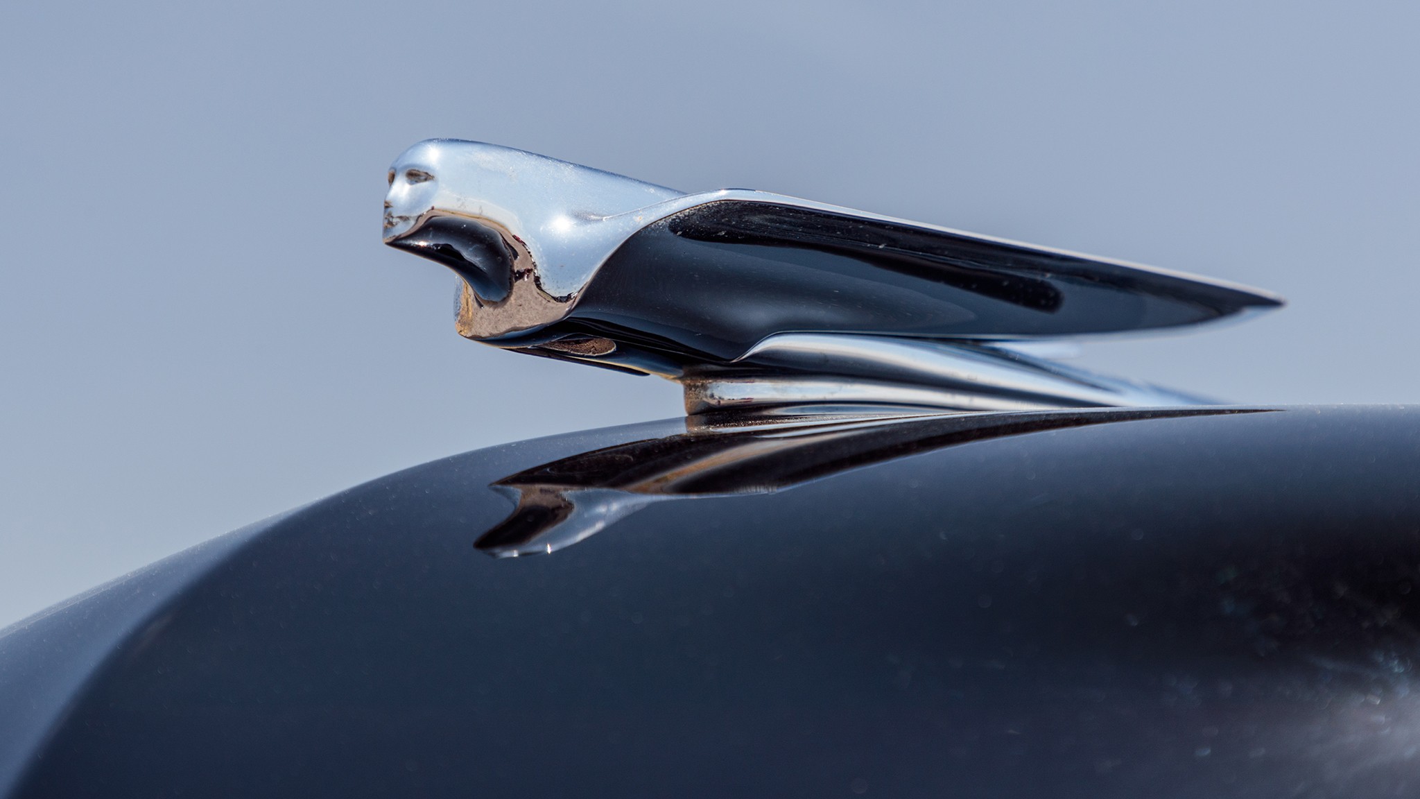 1949 Cadillac Series 62 Sedanette hood ornament