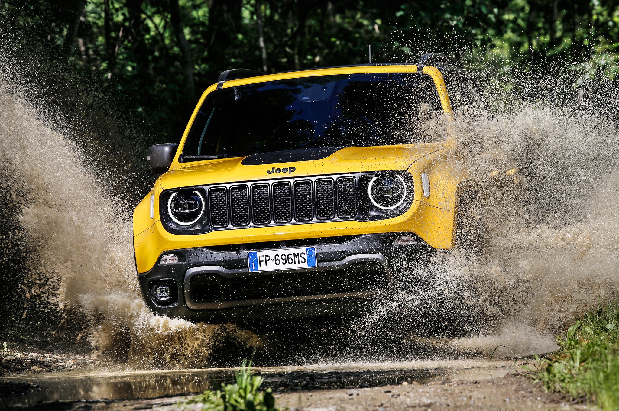 2019 Jeep Renegade Trailhawk 15