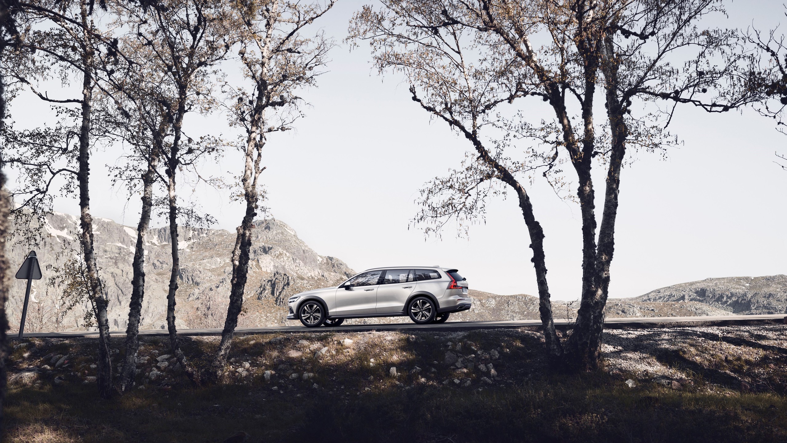 2020 Volvo V60 Cross Country in the woods