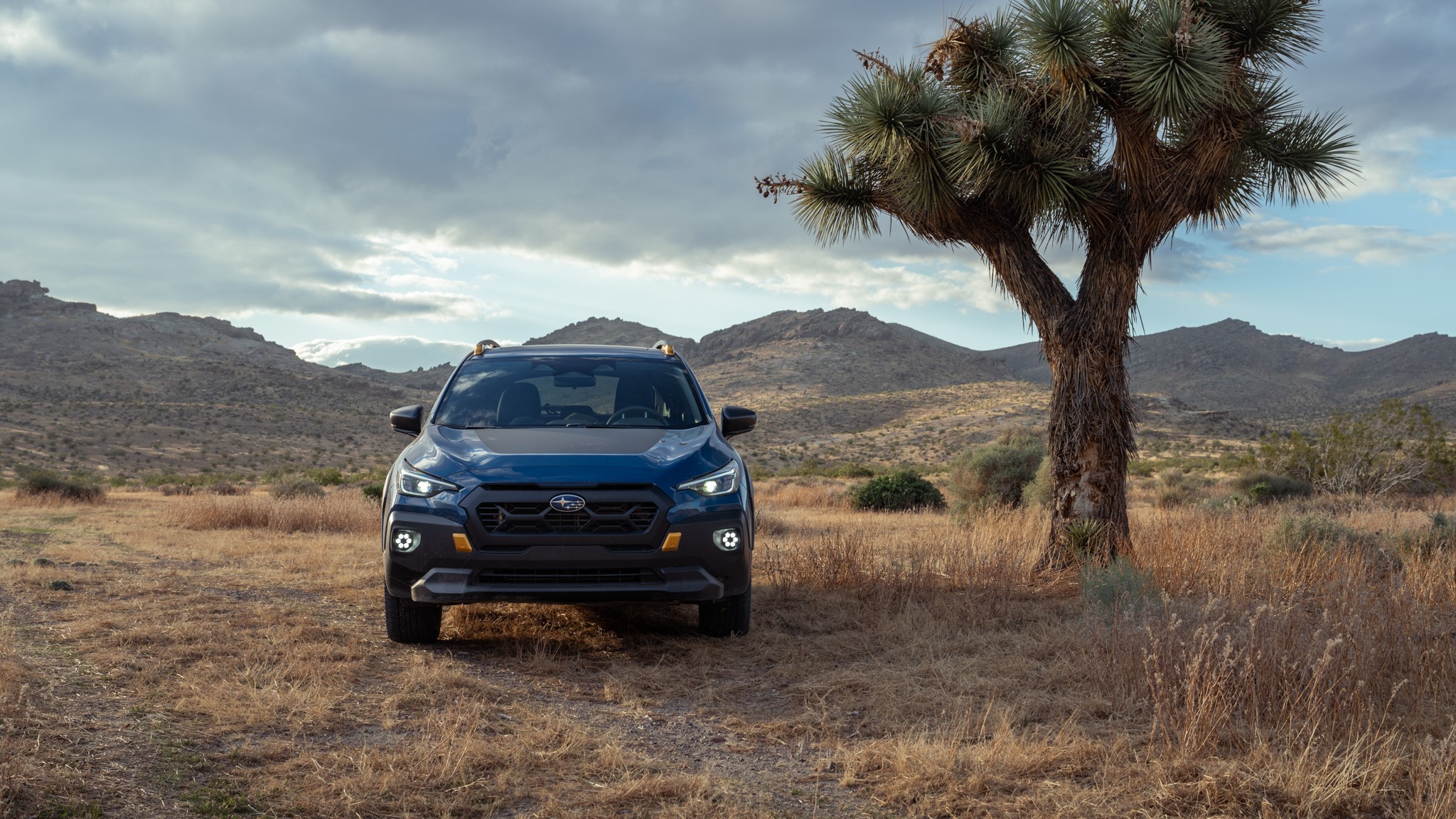 042 2024 subaru crosstrek wilderness long termer