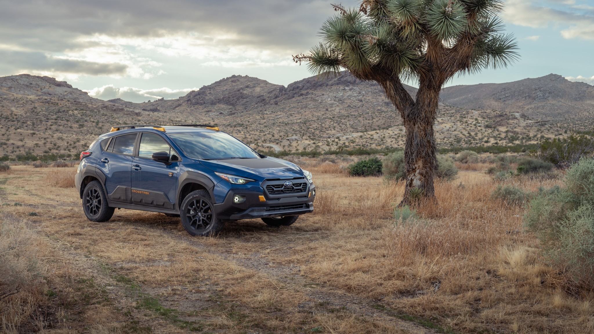 047 2024 subaru crosstrek wilderness long termer