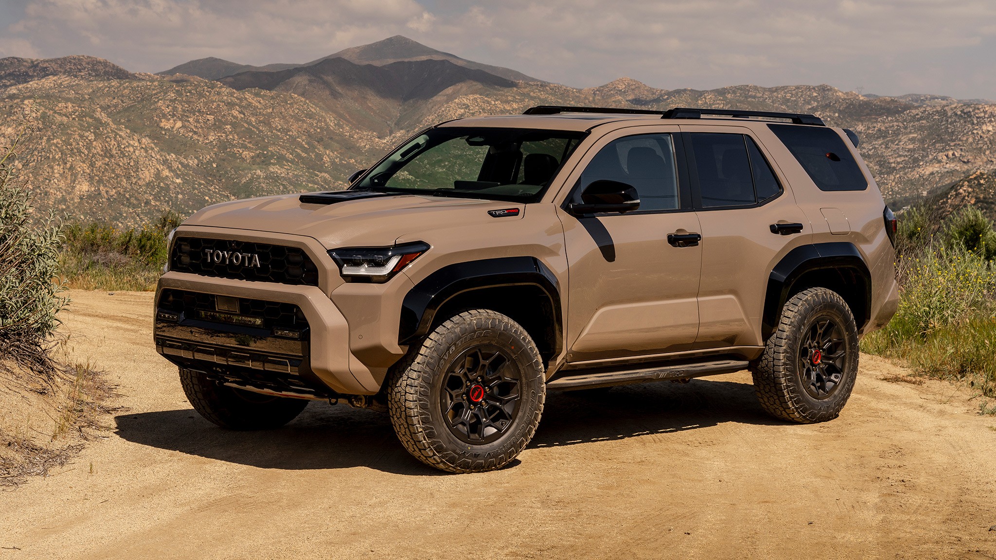 2025 Toyota 4Runner TRD Pro exterior 19