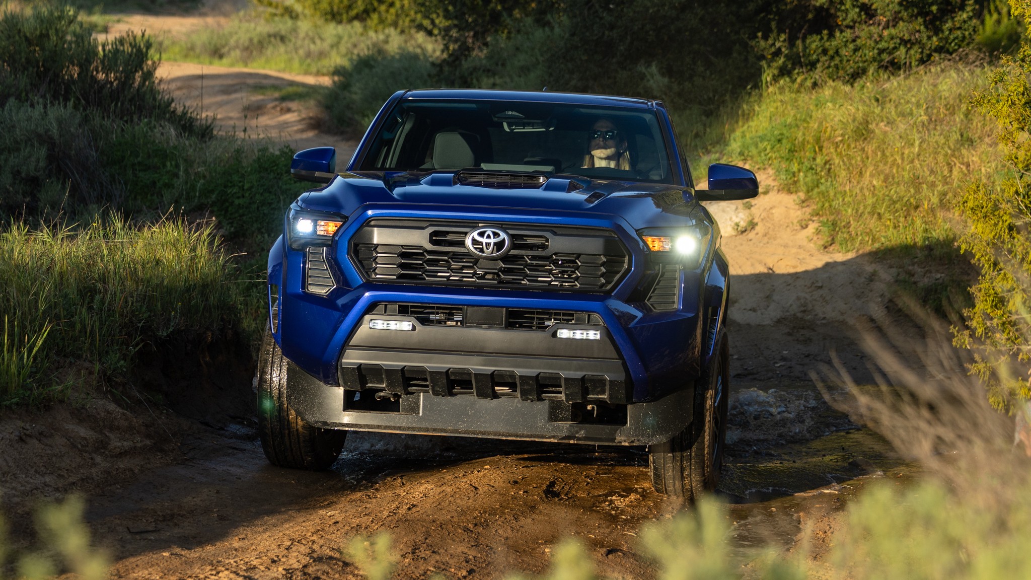 042 2024 Toyota Tacoma TRD Sport