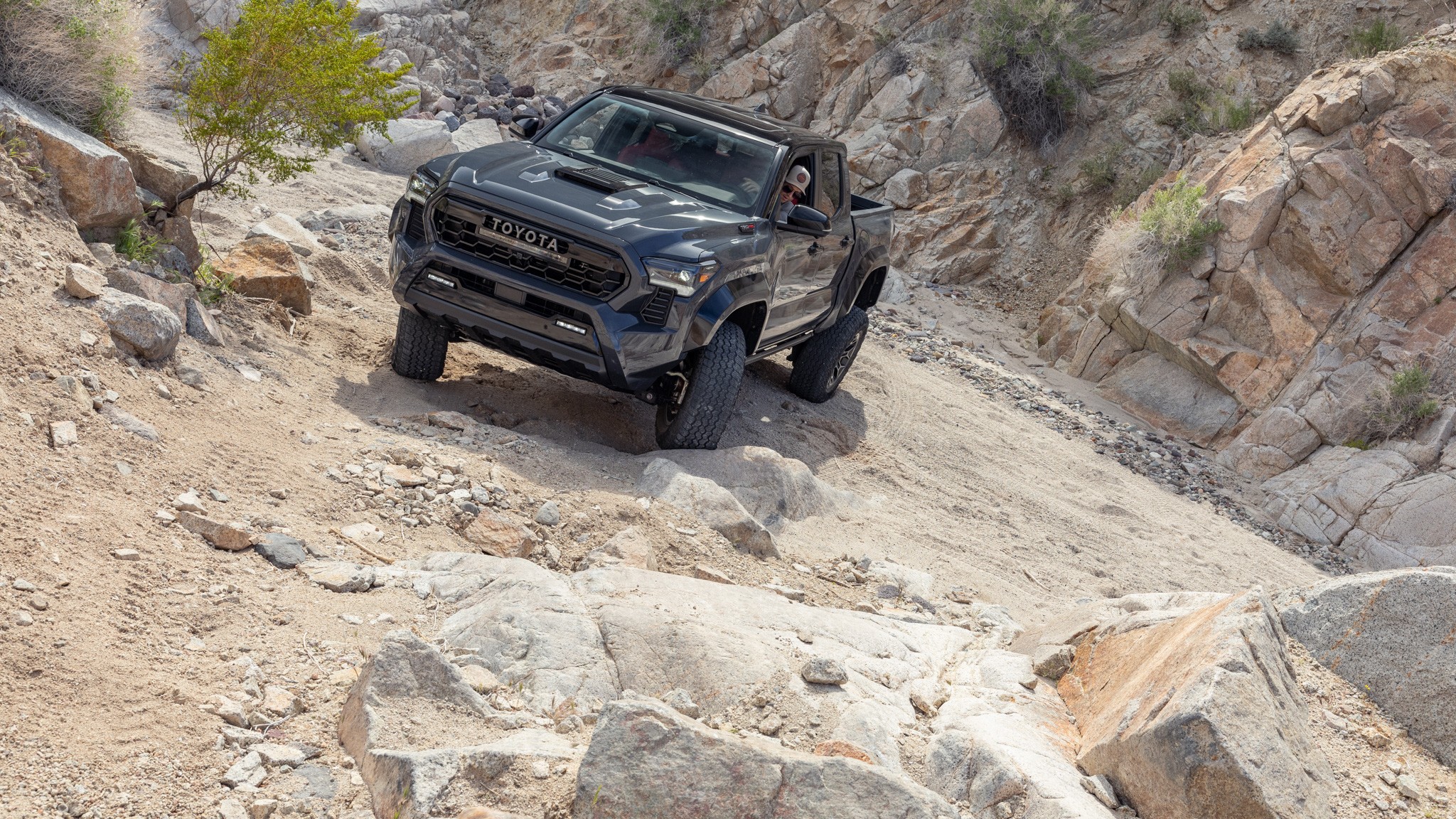 039 2024 Toyota Tacoma TRD Pro