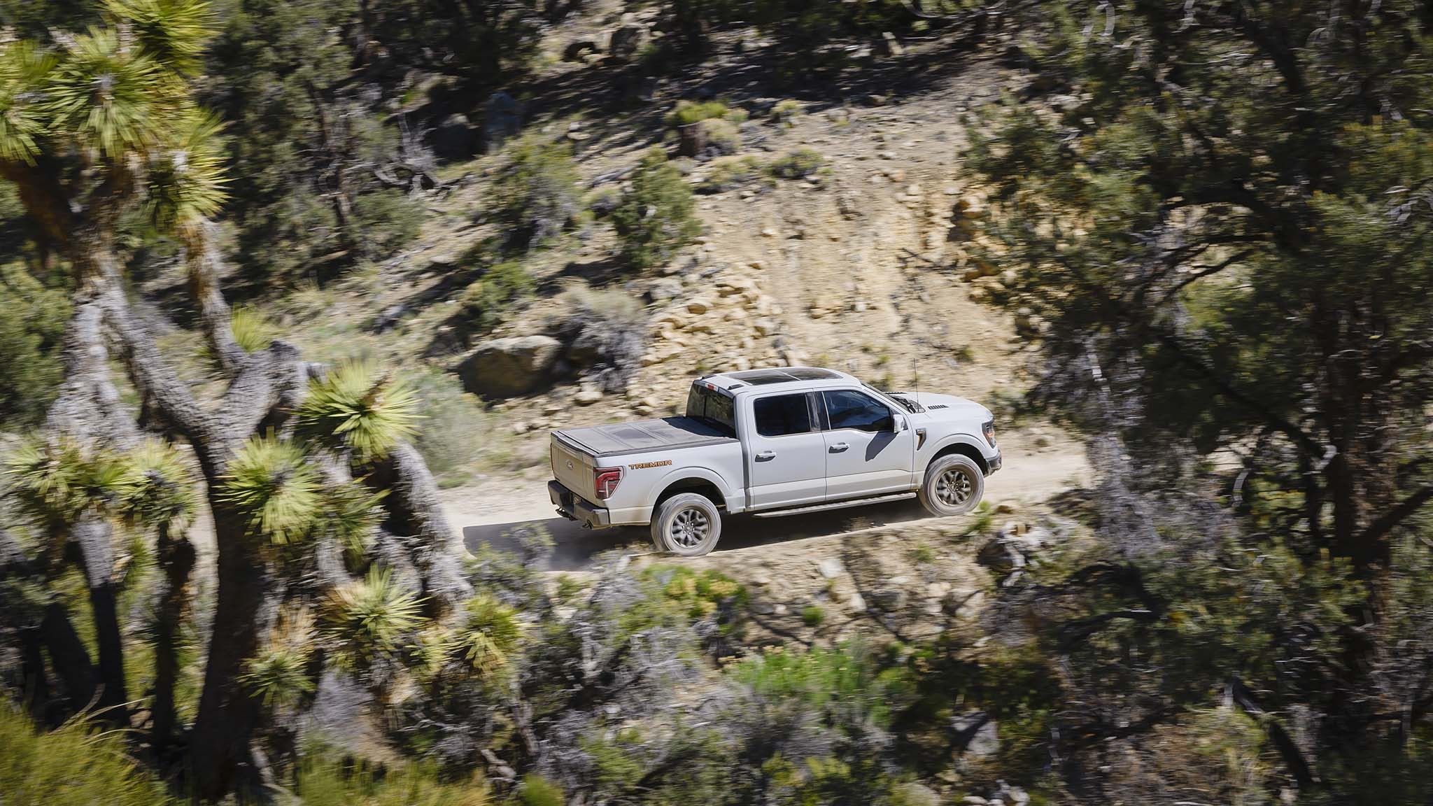 013 2024 Ford F 150 Tremor