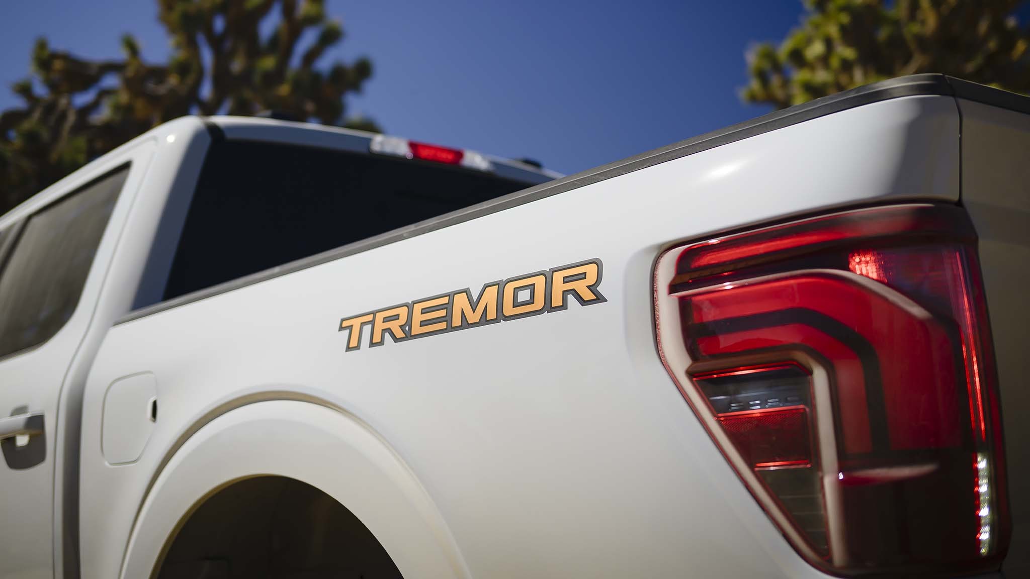 018 2024 Ford F 150 Tremor