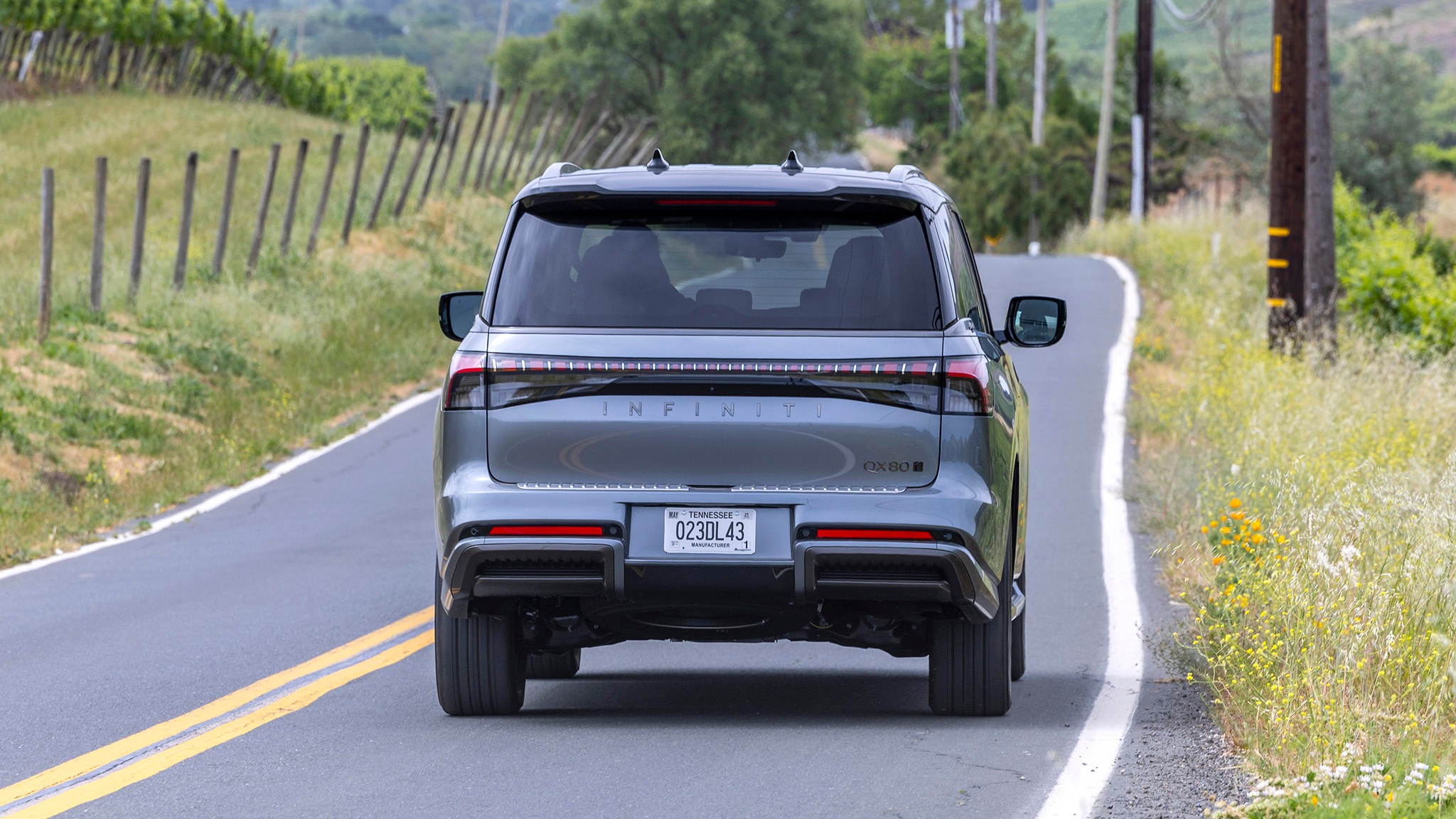 33 2025 Infiniti QX80 rear view
