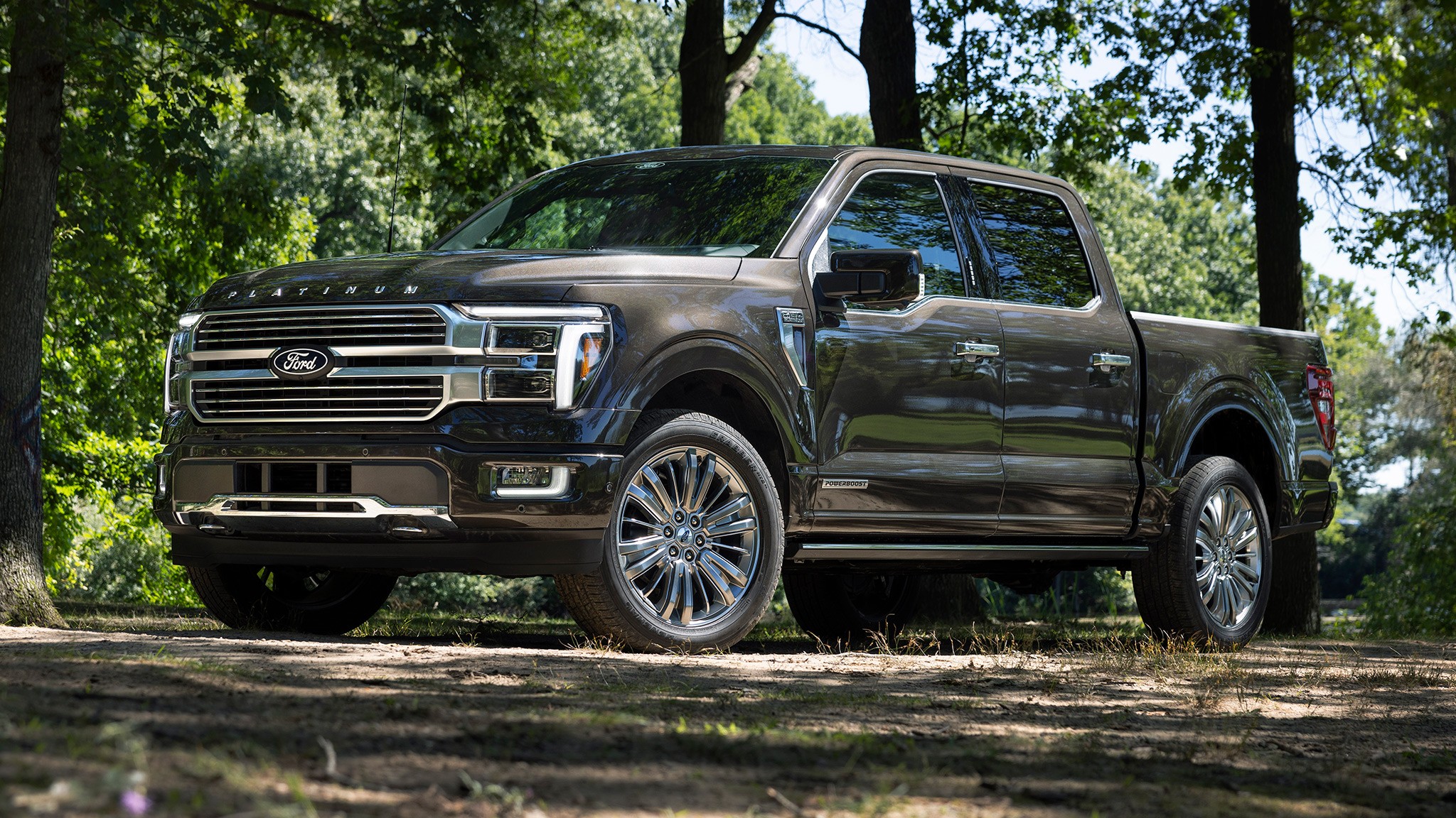 2024 Ford F 150 Platinum 1