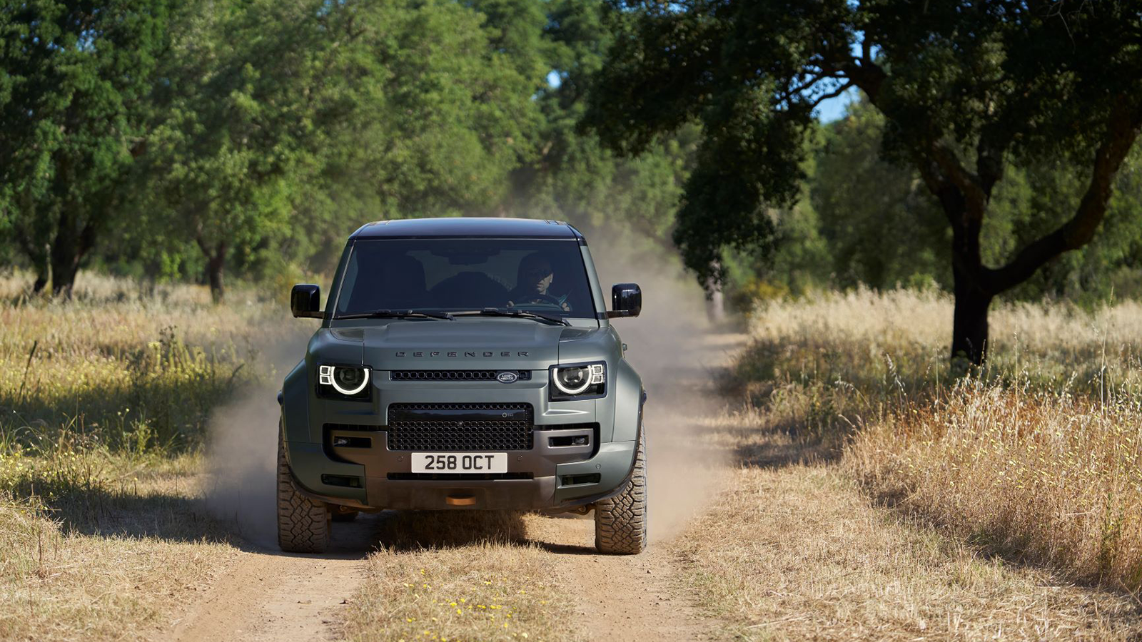 2025 Land Rover Defender 110 OCTA 5
