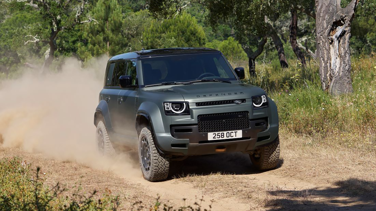 2025 Land Rover Defender 110 OCTA 4