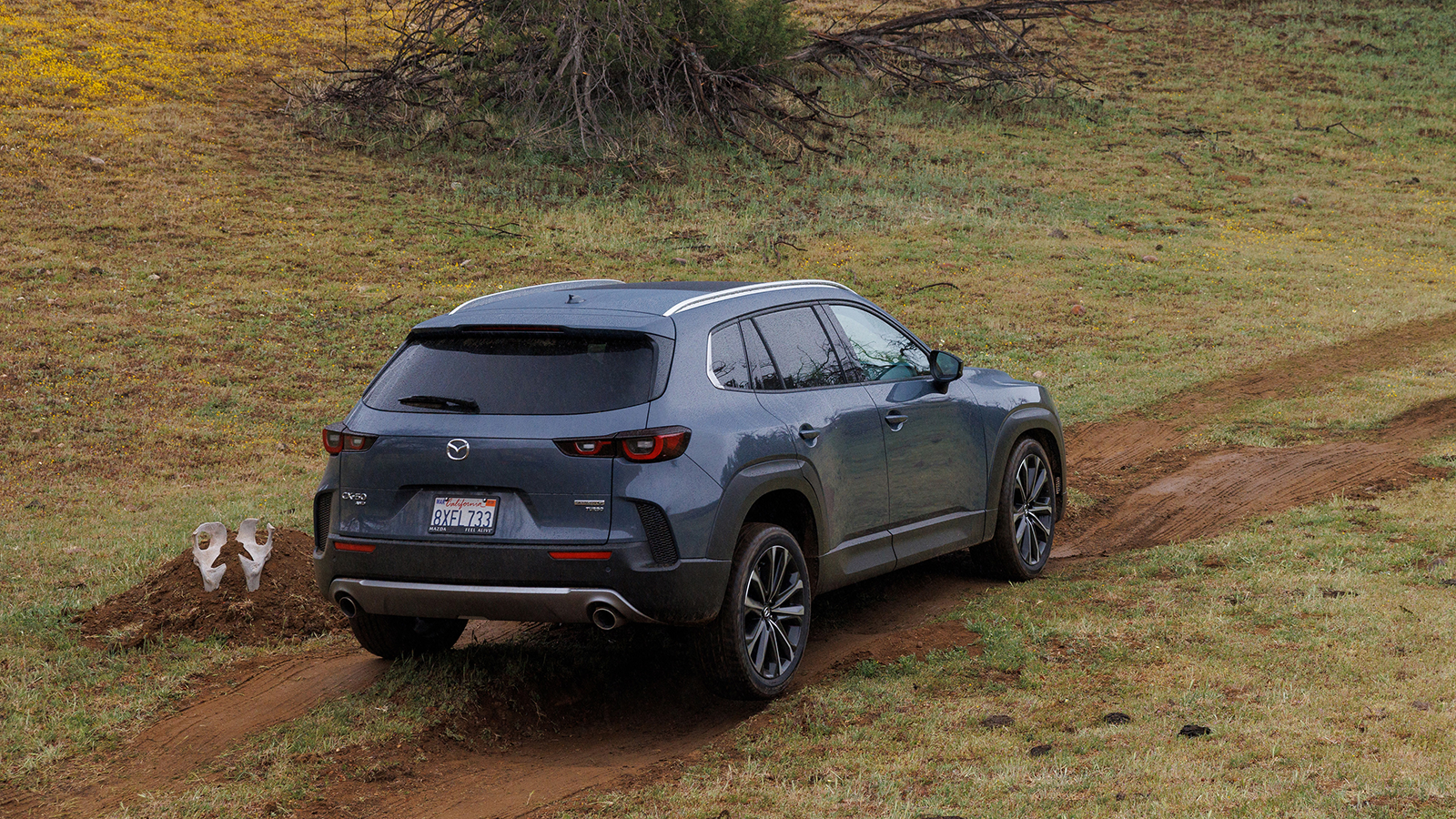 2025 Mazda CX 50 SUV 17