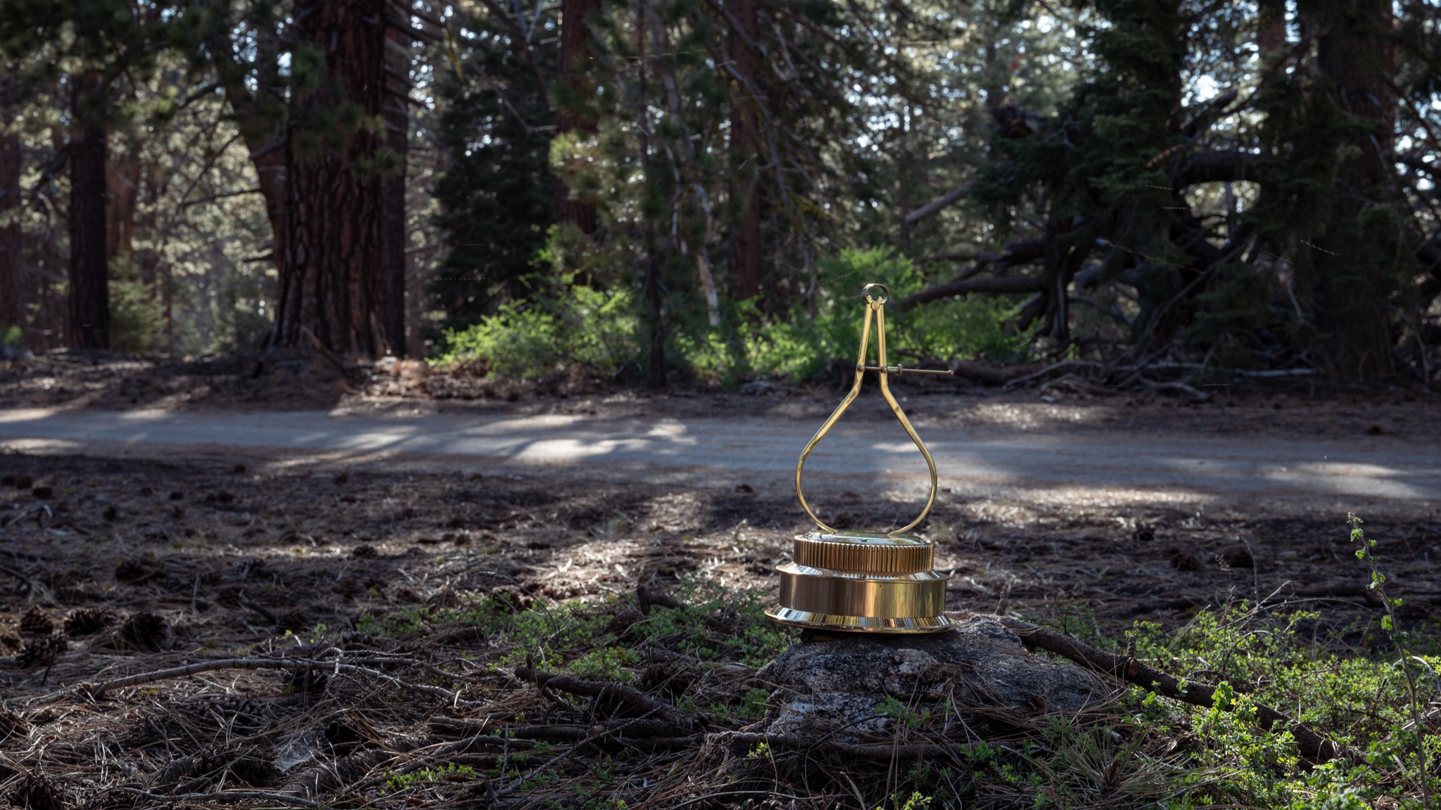 020 2024 BMW M2 Winner