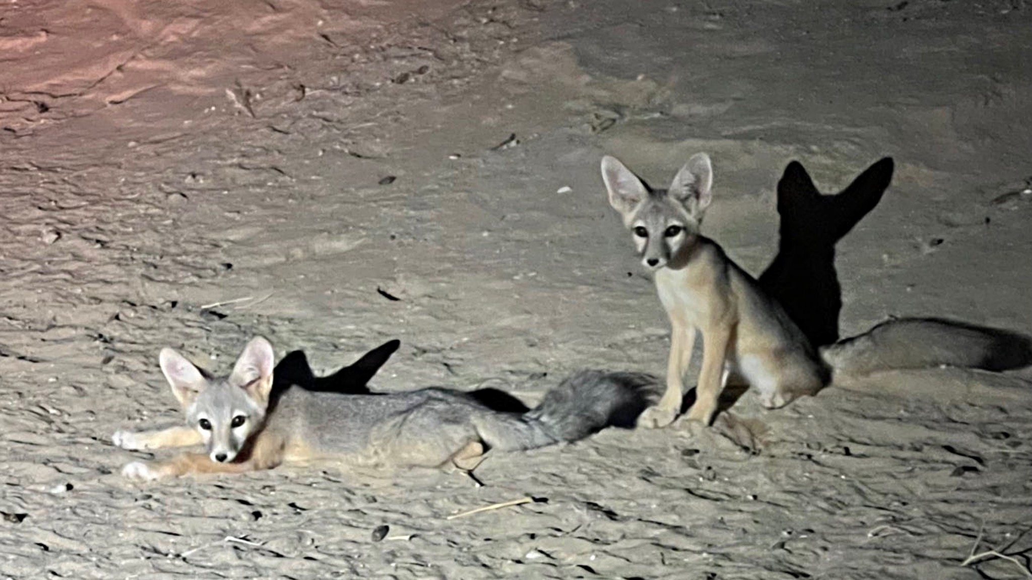 Chuckwalla Valley Raceway Turn 16 friends