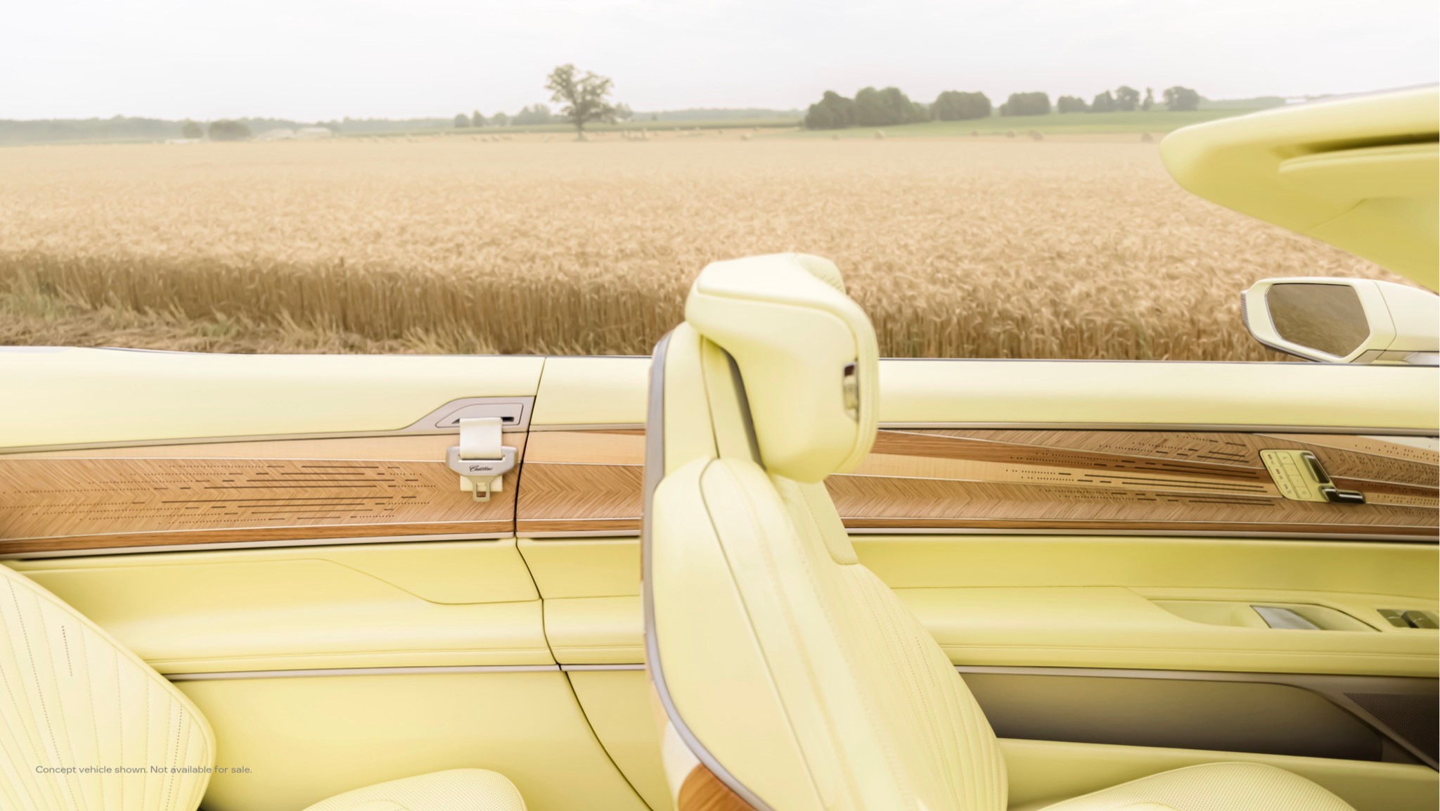 cadillac sollei concept 6