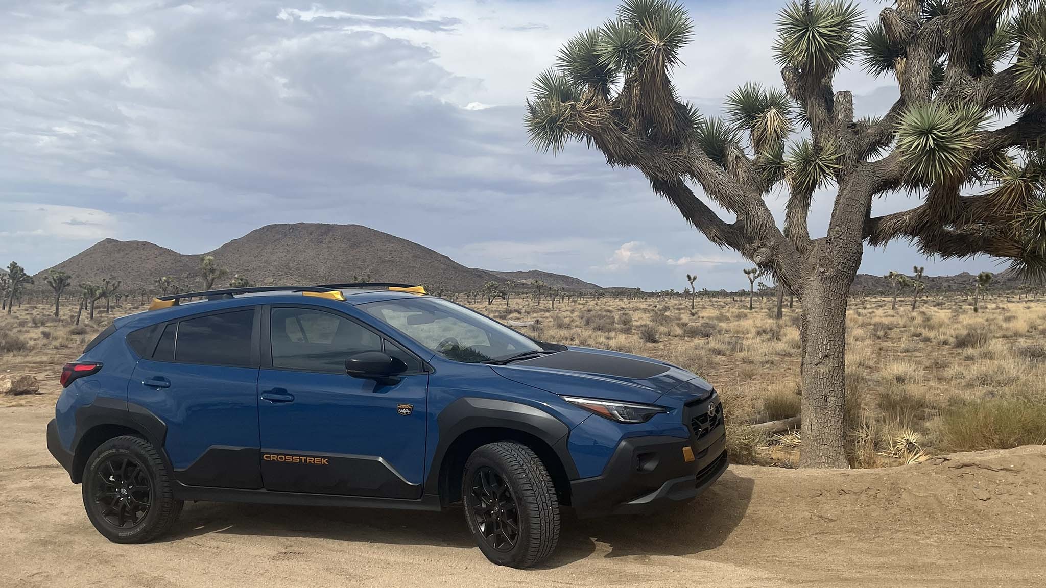 001 2024 subaru crosstrek wilderness LT update 5