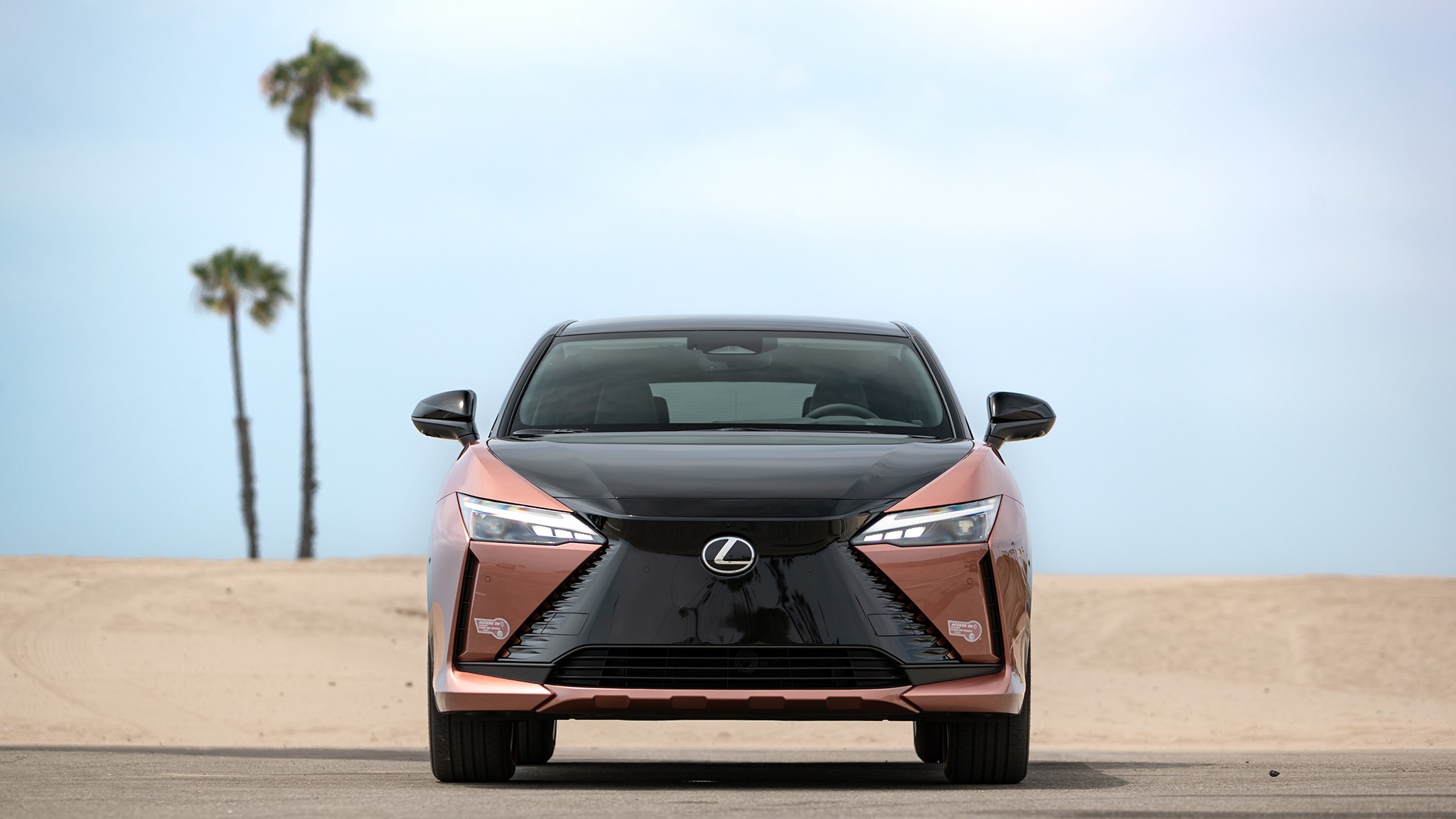 2024 Lexus RZ300e front view 14