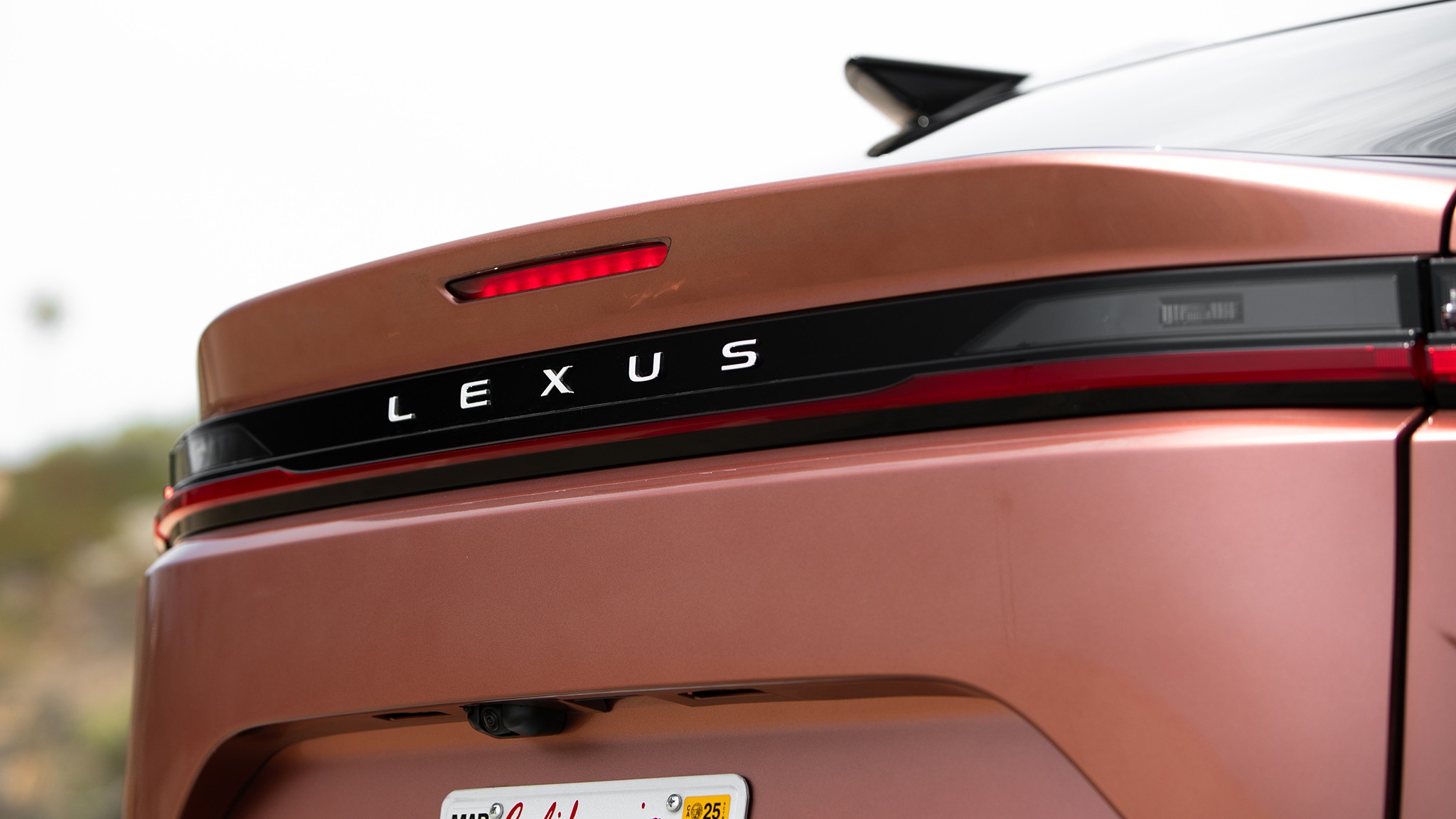 2024 Lexus RZ300e rear badge 23