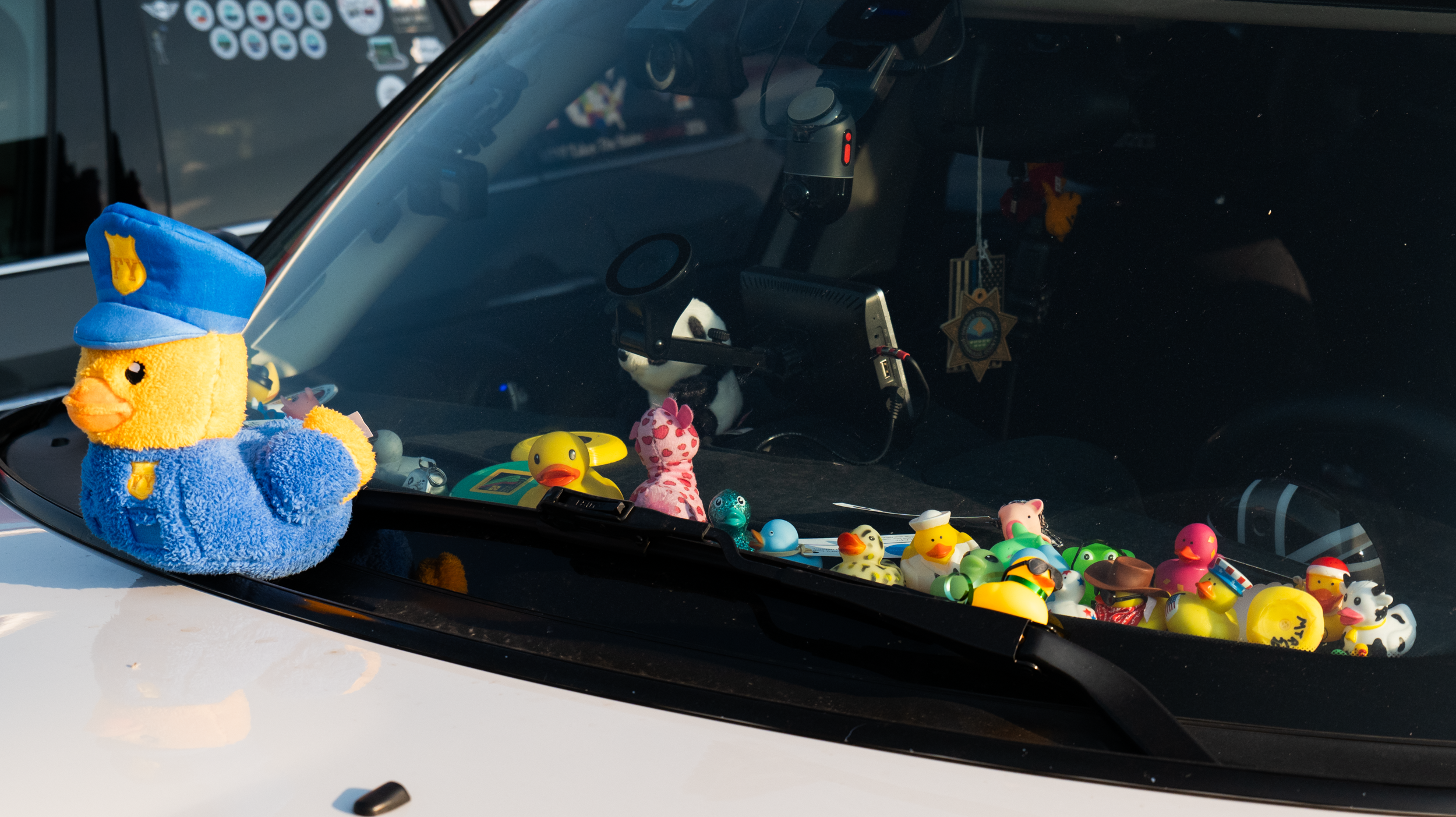 Mini Ducking Mini Takes the States MTTS 4