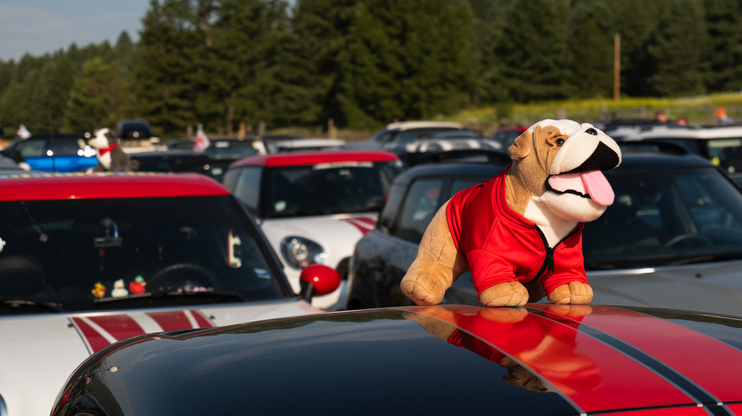 Mini Ducking Mini Takes the States MTTS 10