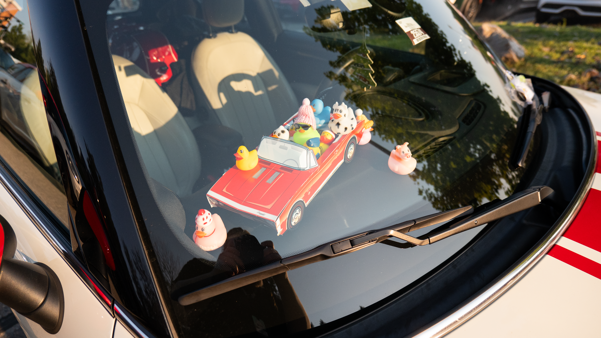 Mini Ducking Mini Takes the States MTTS 20