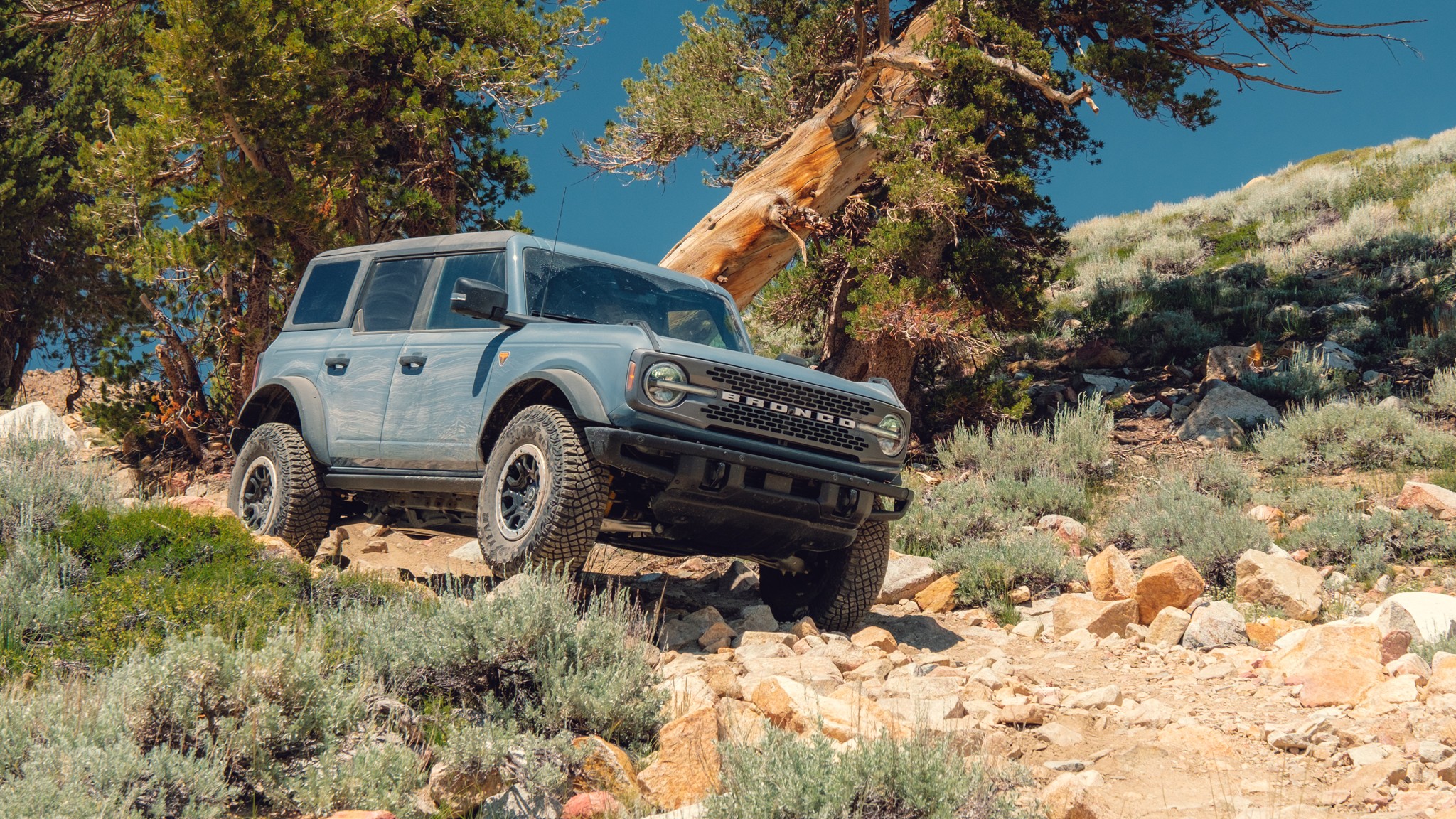 020 OffRoad SUV Comparo LandCruiser Wrangler Bronco