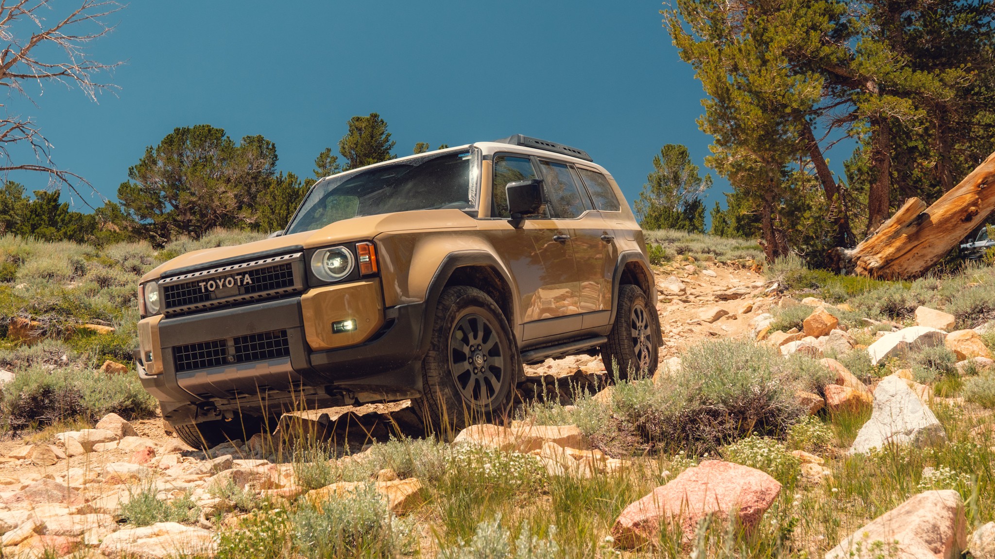 023 OffRoad SUV Comparo LandCruiser Wrangler Bronco