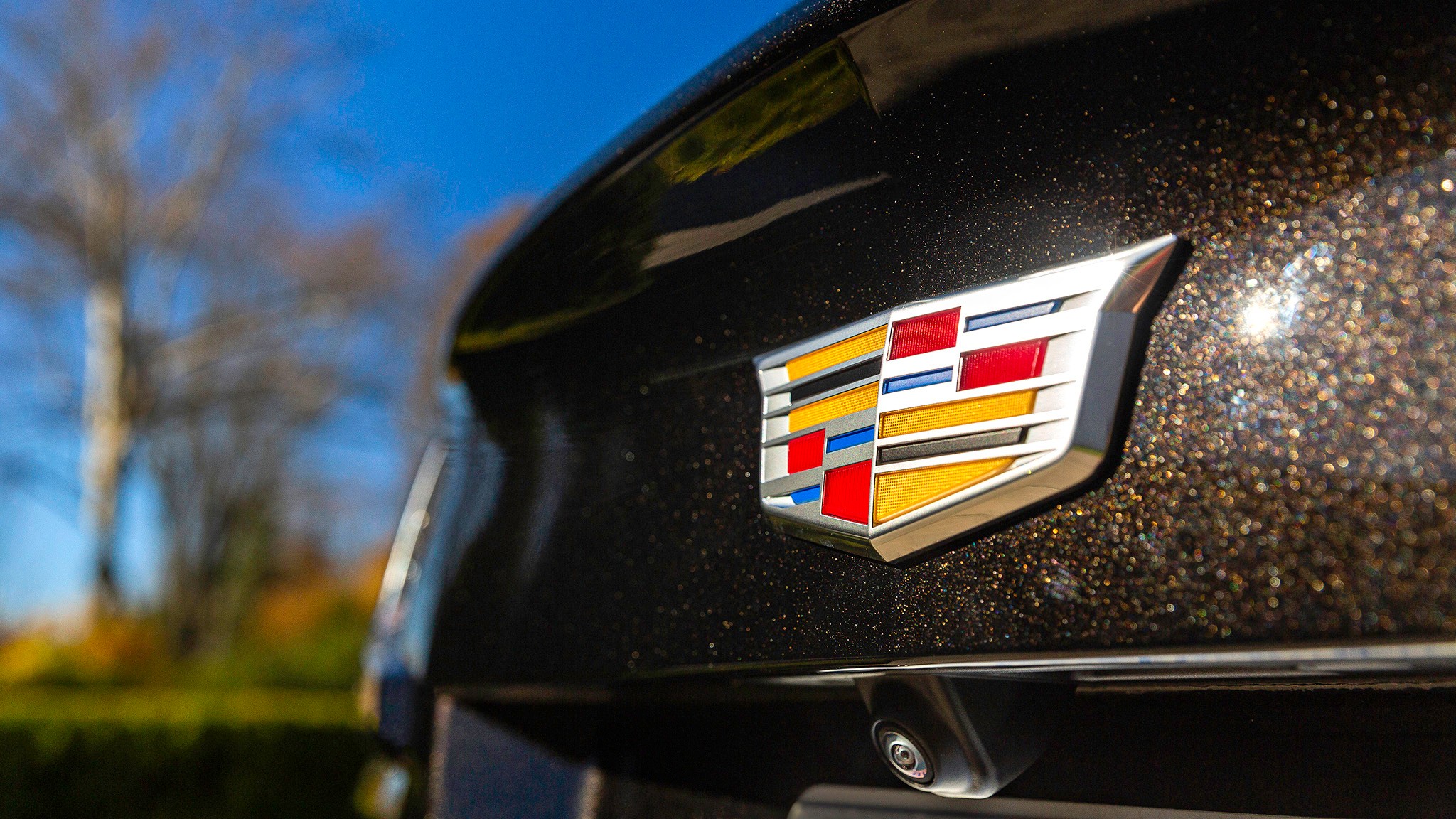 023 2025 Cadillac XT4 Sport AWD rear badge