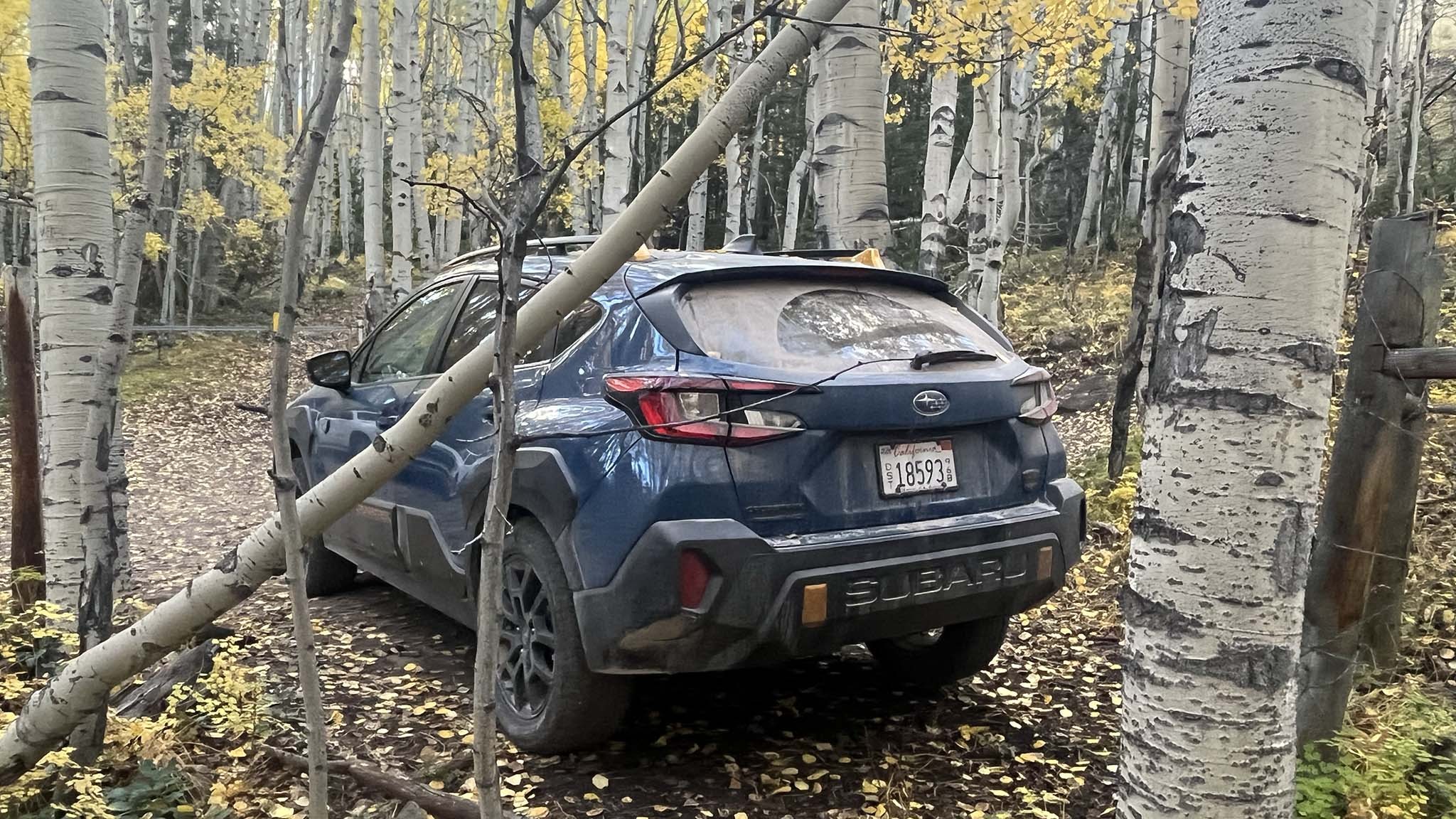0016 2024 subaru crosstrek wilderness