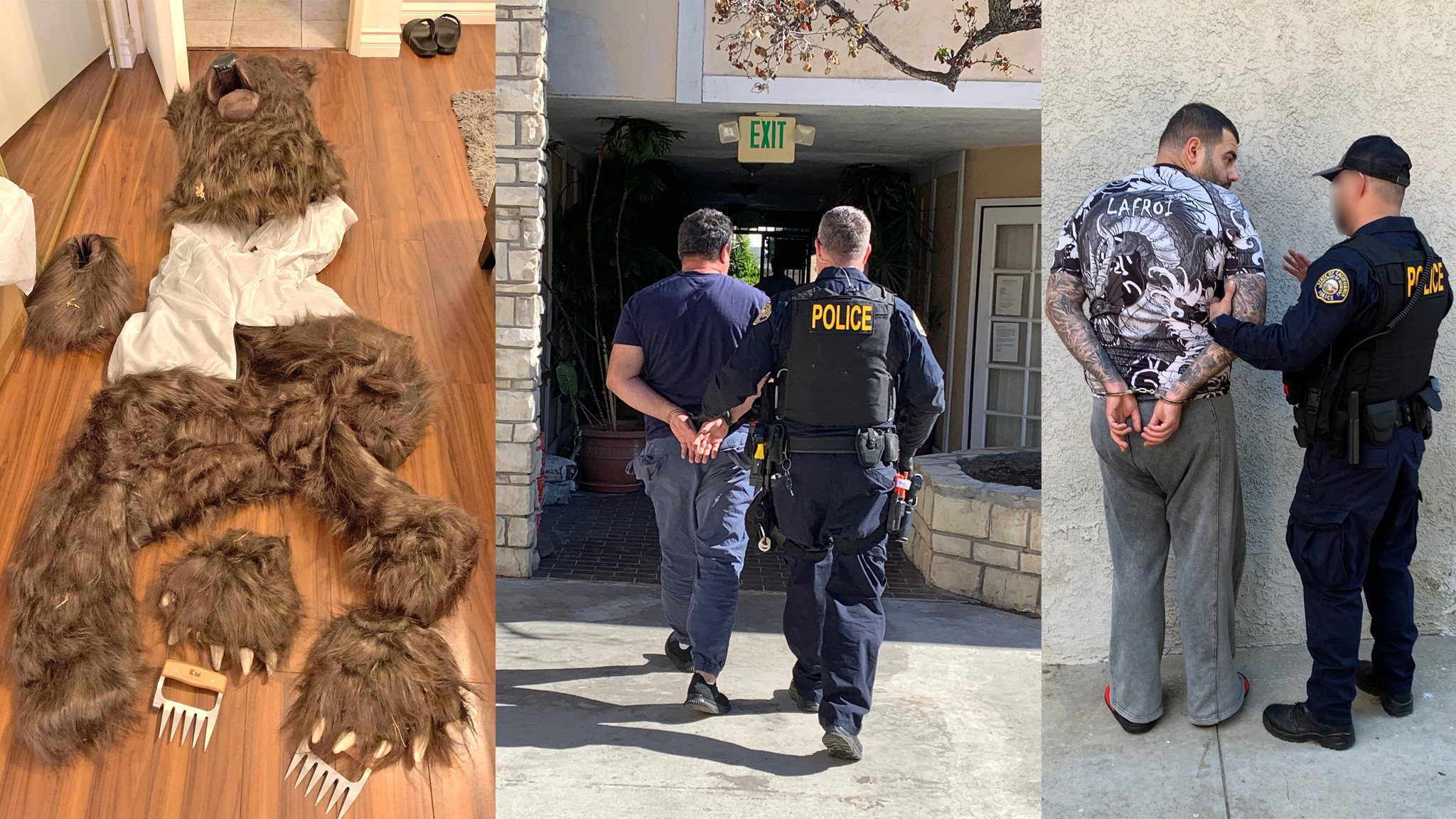 bear suit arrests