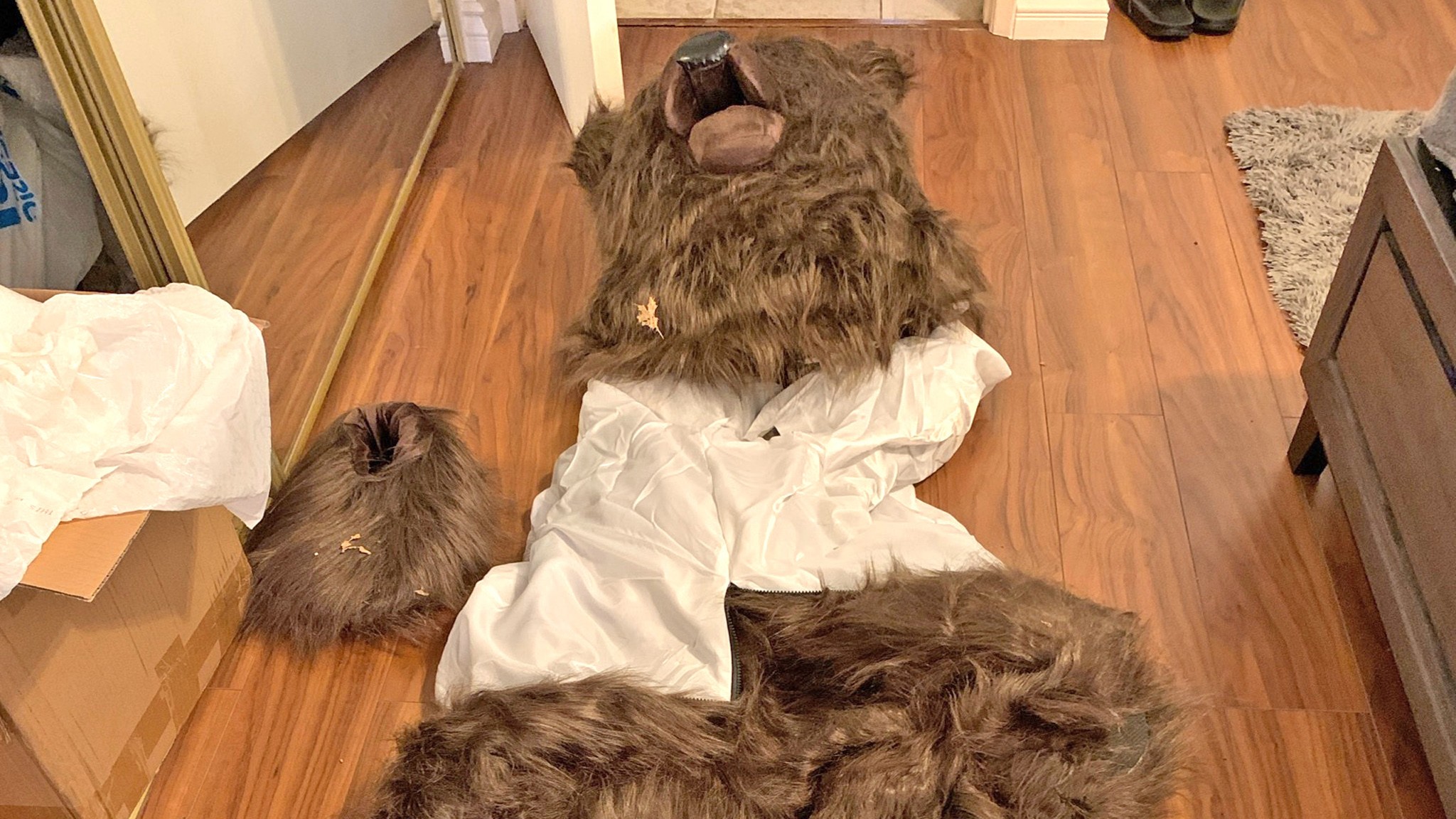 Bear Suit