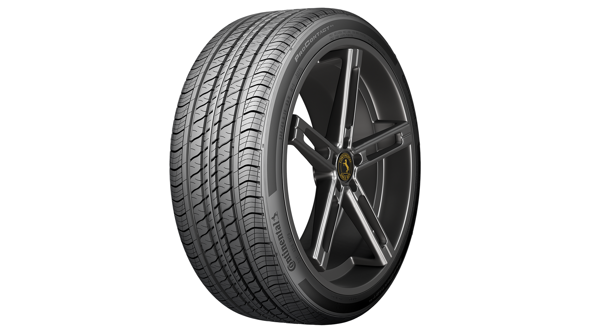 Continental ProContact RX