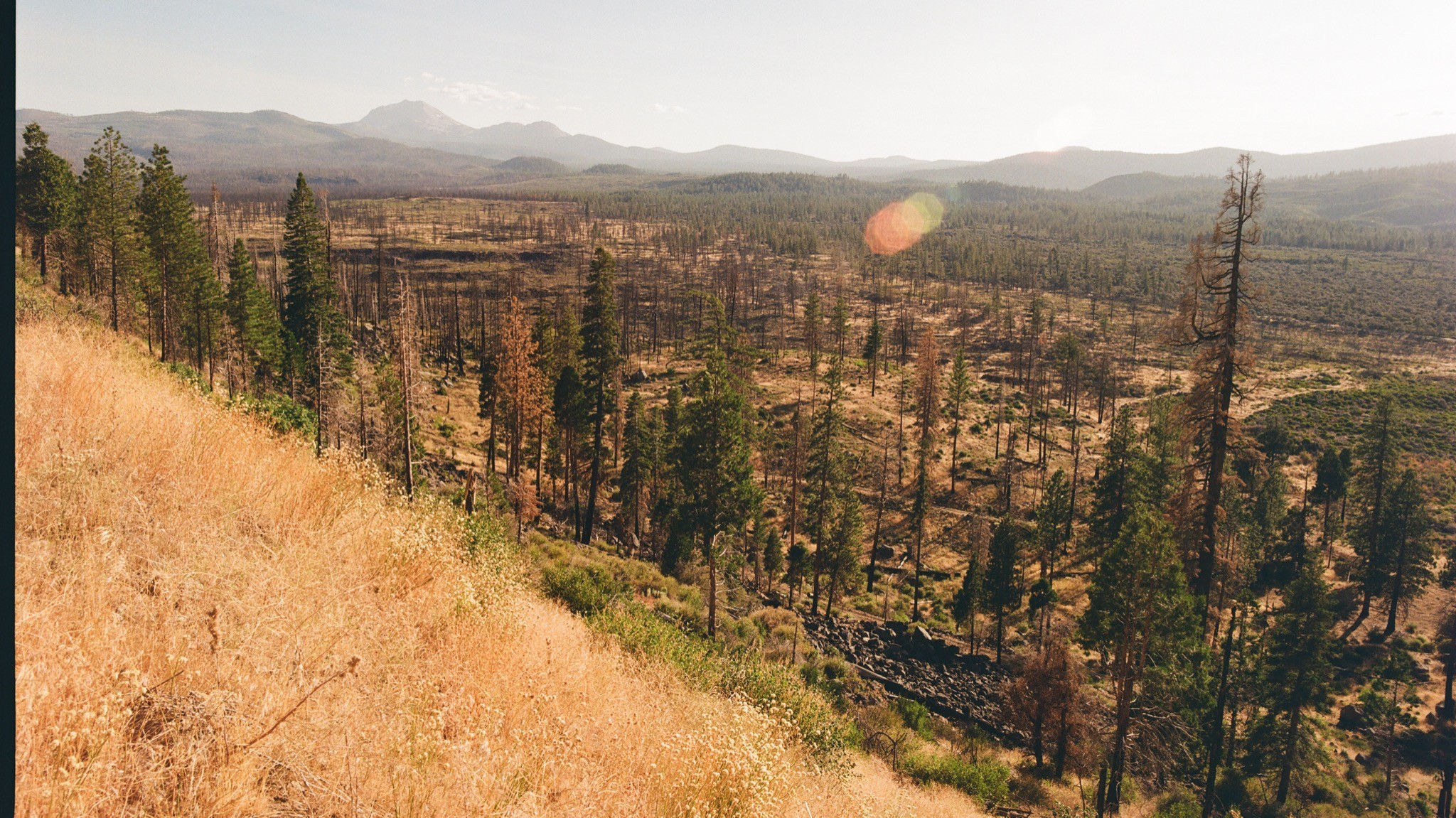 2024 Hyundai Ioniq 6 SE Long Range Yearlong Review Update 1 30