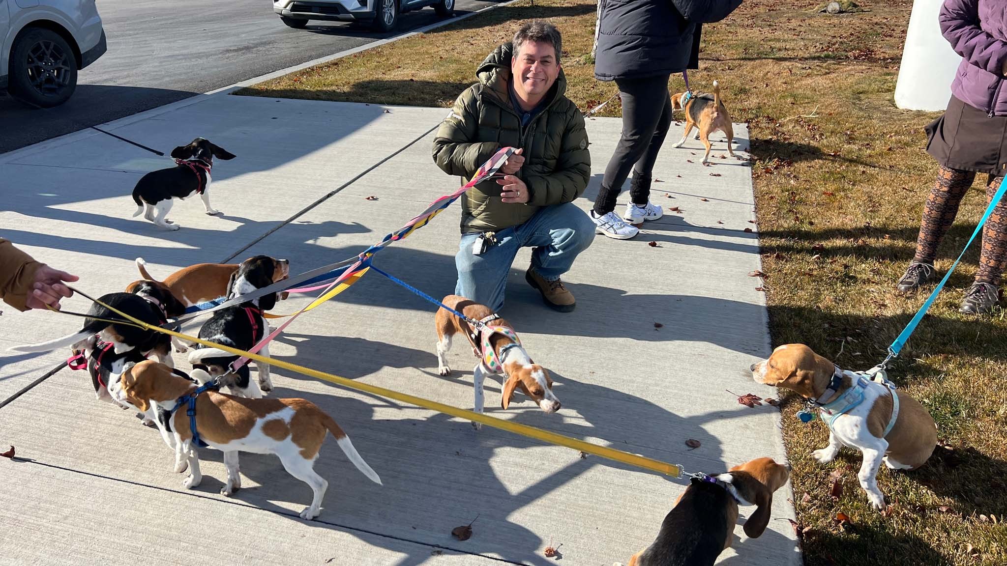 024 2024 mercedes benz sprinter 250 awd update 4mission from dog