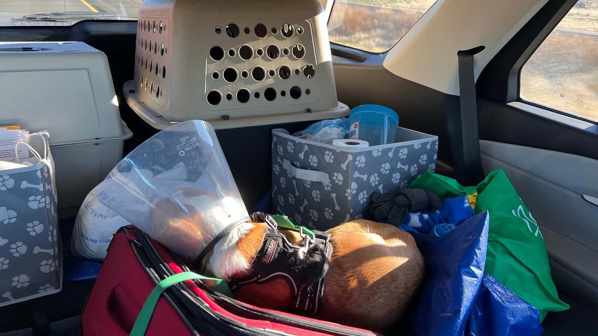 026 2024 mercedes benz sprinter 250 awd update 4mission from dog