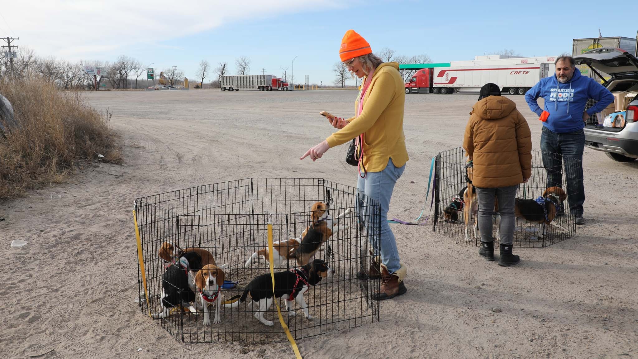 027 2024 mercedes benz sprinter 250 awd update 4mission from dog