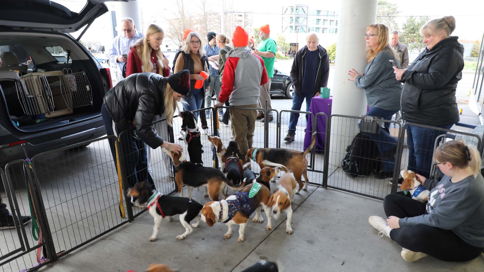 030 2024 mercedes benz sprinter 250 awd update 4mission from dog