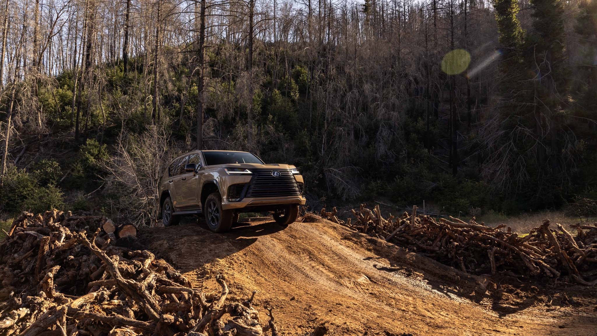 2025 Lexus LX700h Overtrail 9