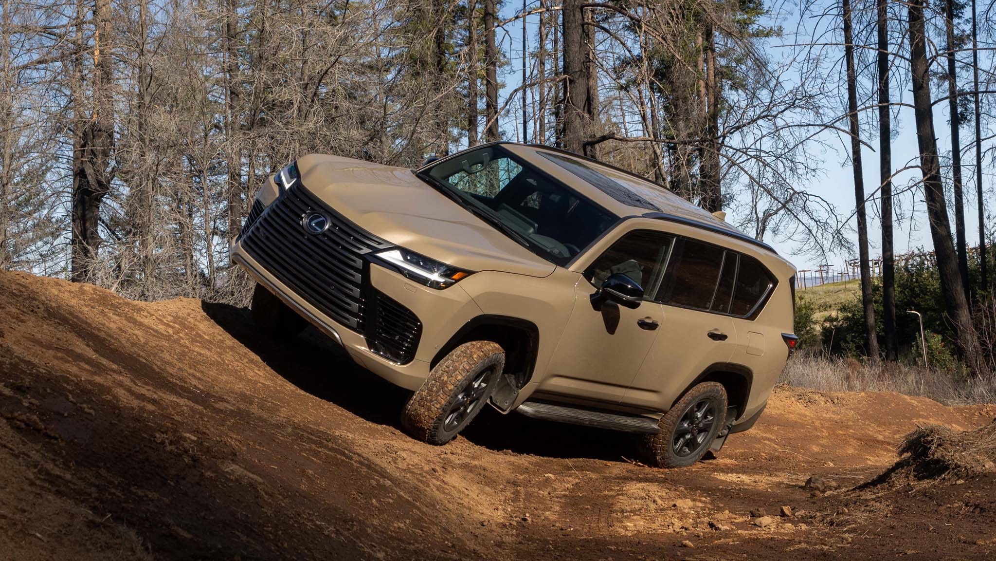 2025 Lexus LX700h Overtrail 10