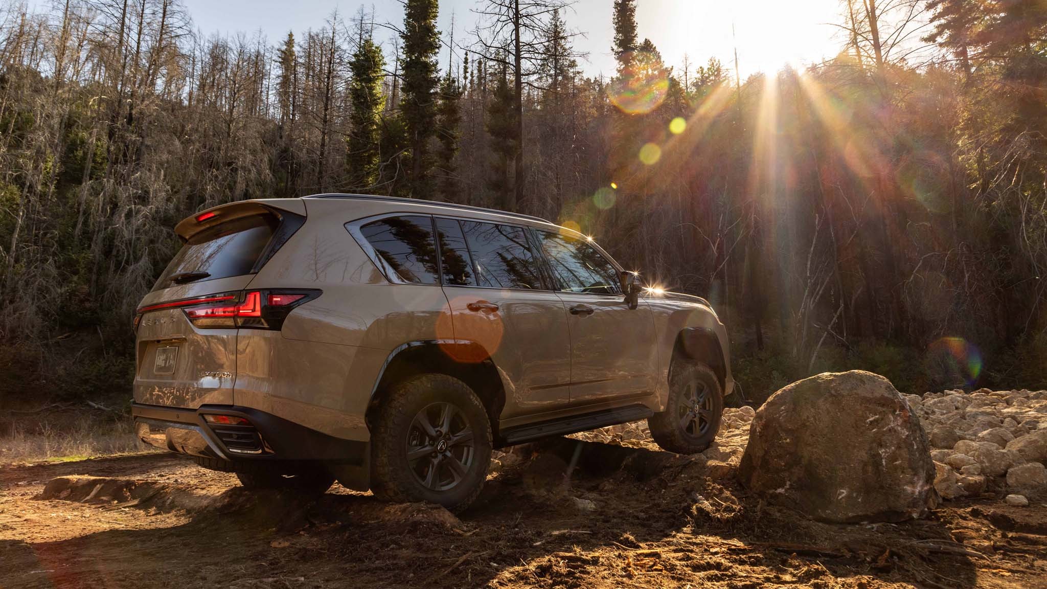 2025 Lexus LX700h Overtrail 12