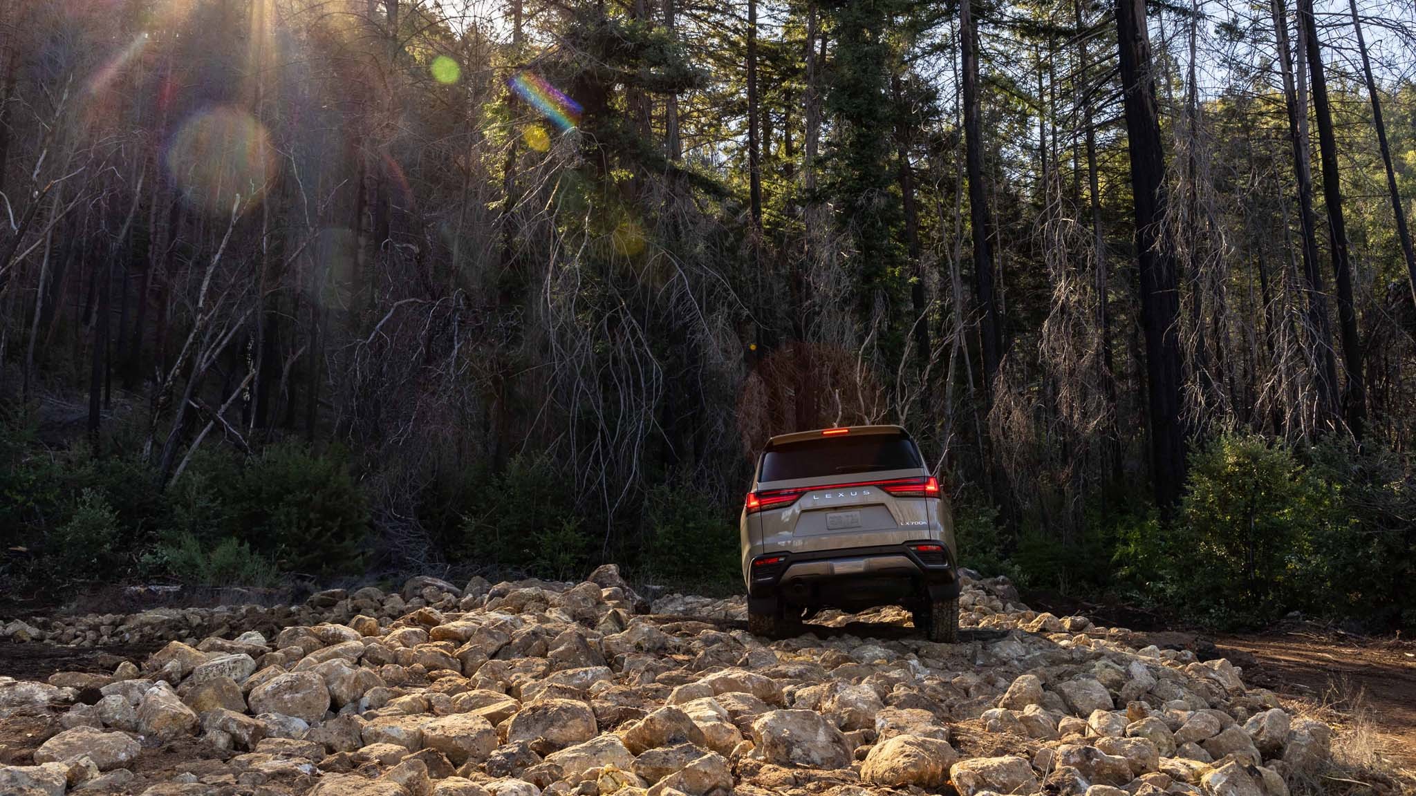 2025 Lexus LX700h Overtrail 13