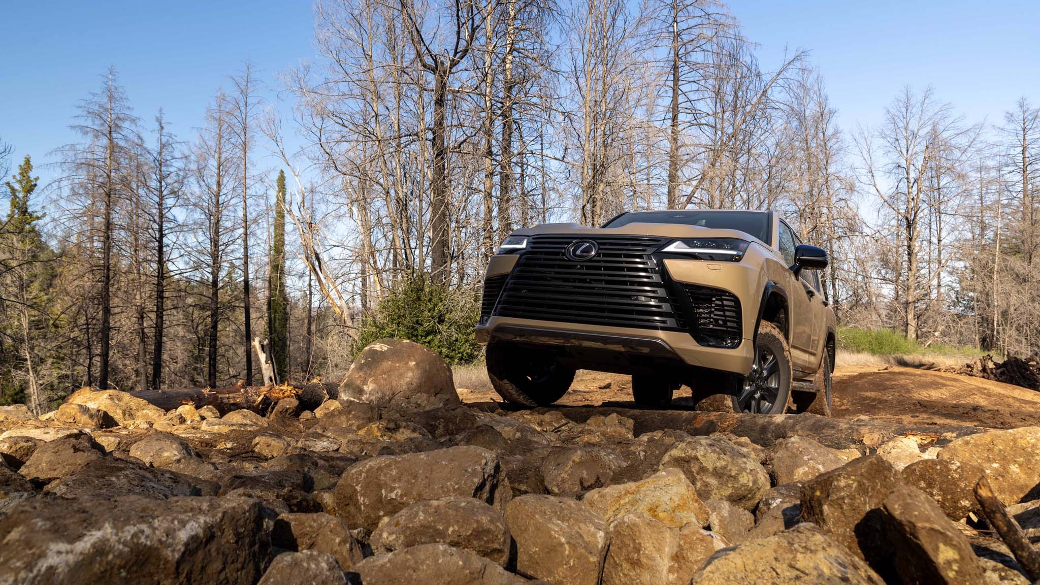 2025 Lexus LX700h Overtrail 14