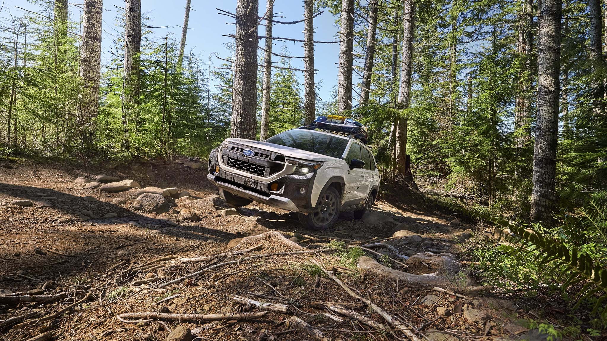 002 2026 subaru forester wilderness