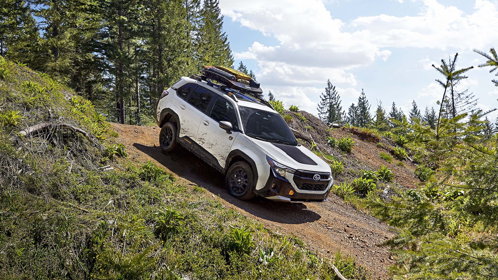 003 2026 subaru forester wilderness