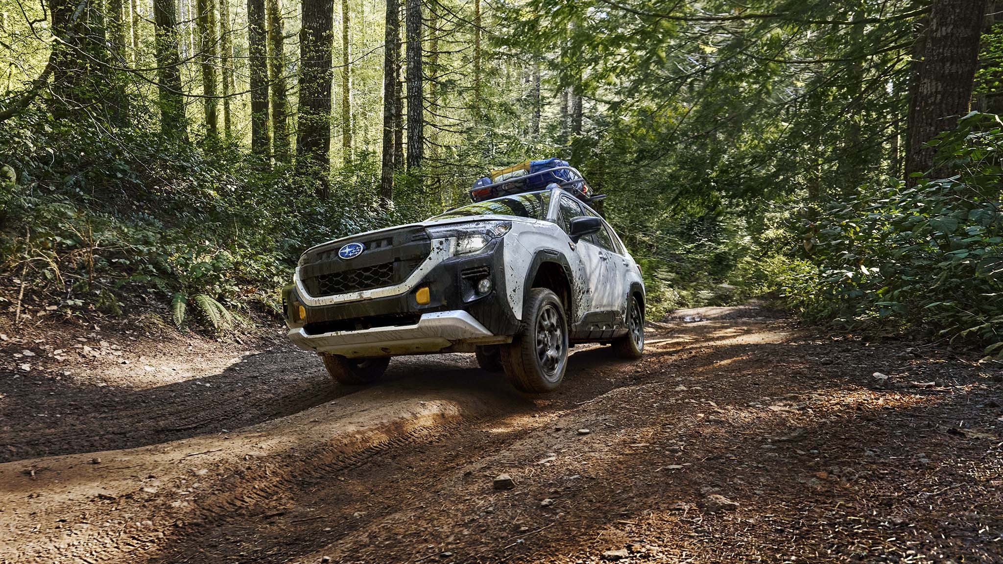 004 2026 subaru forester wilderness